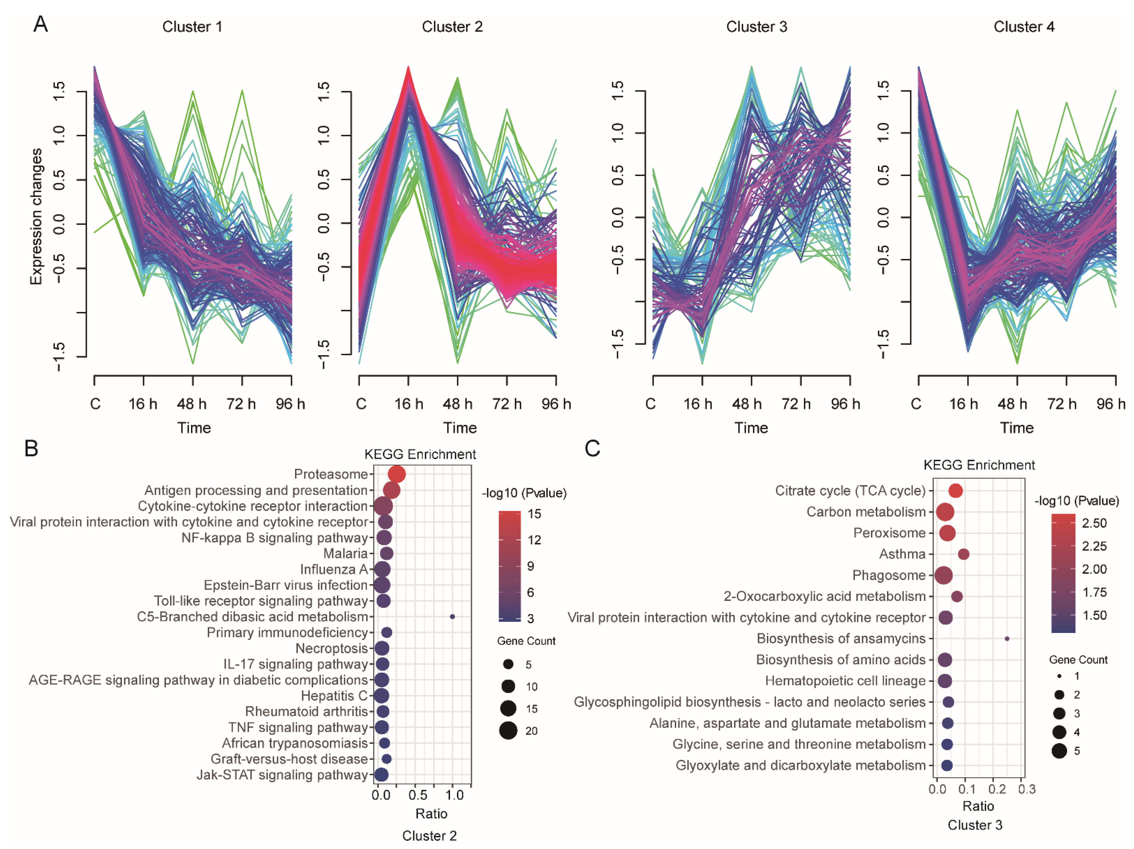 Animals 12 01144 g005