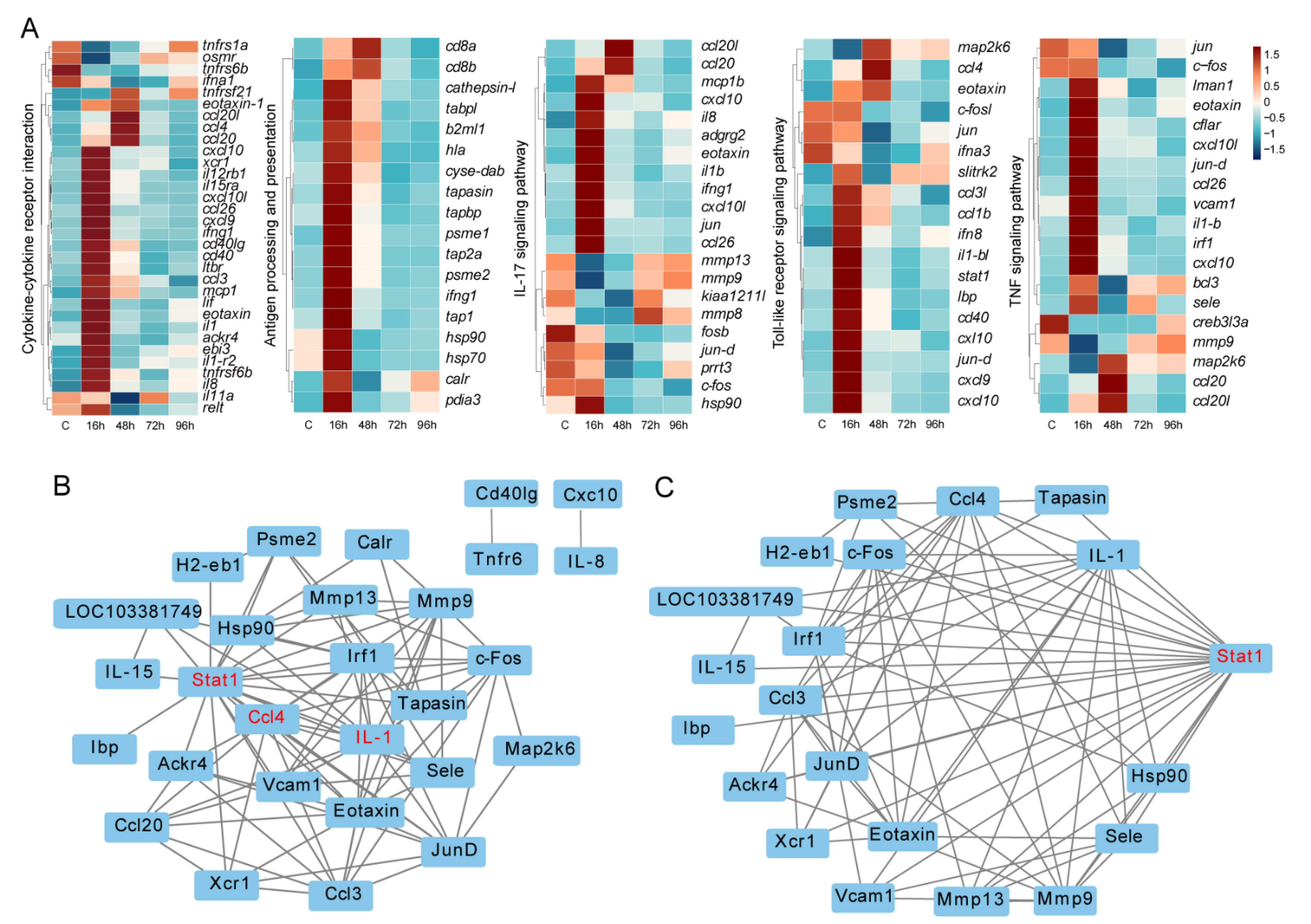 Animals 12 01144 g006