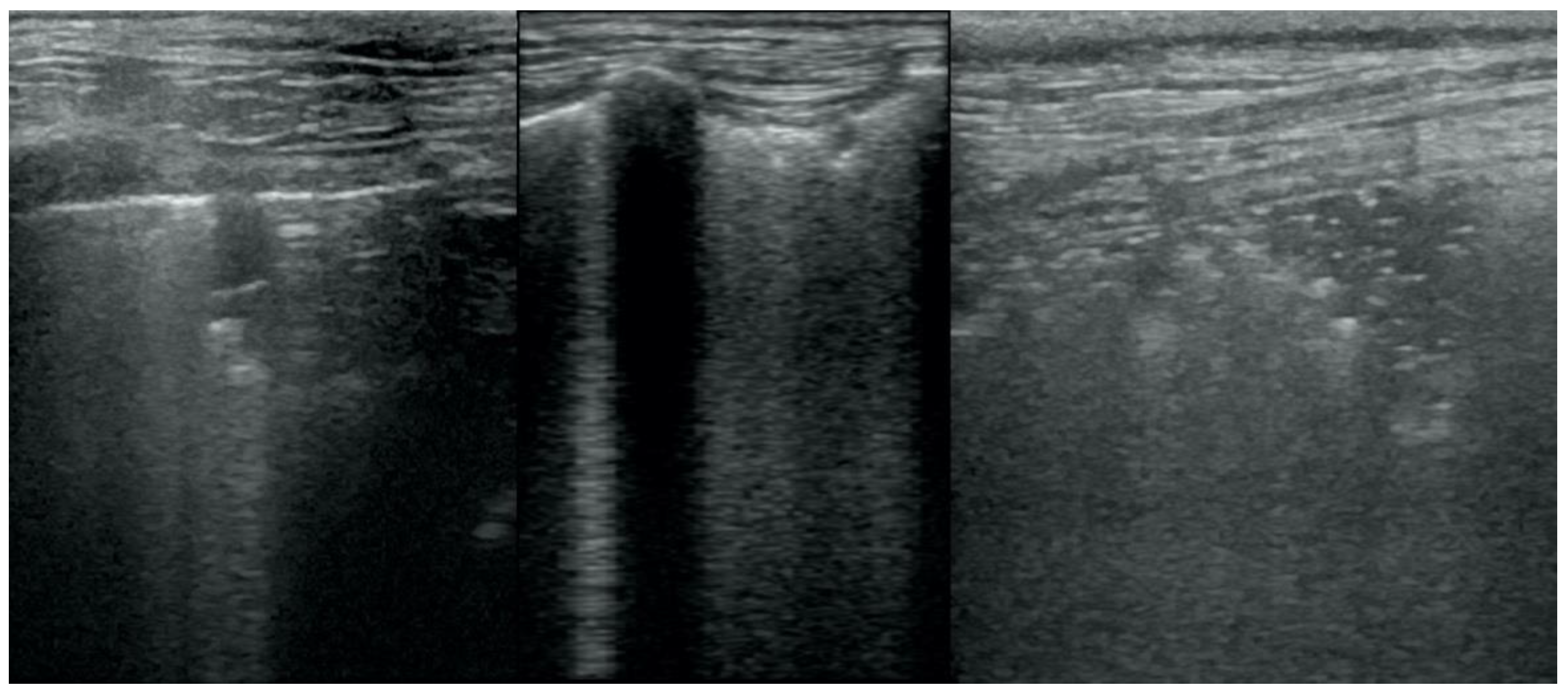 Animals 12 01154 g004 550