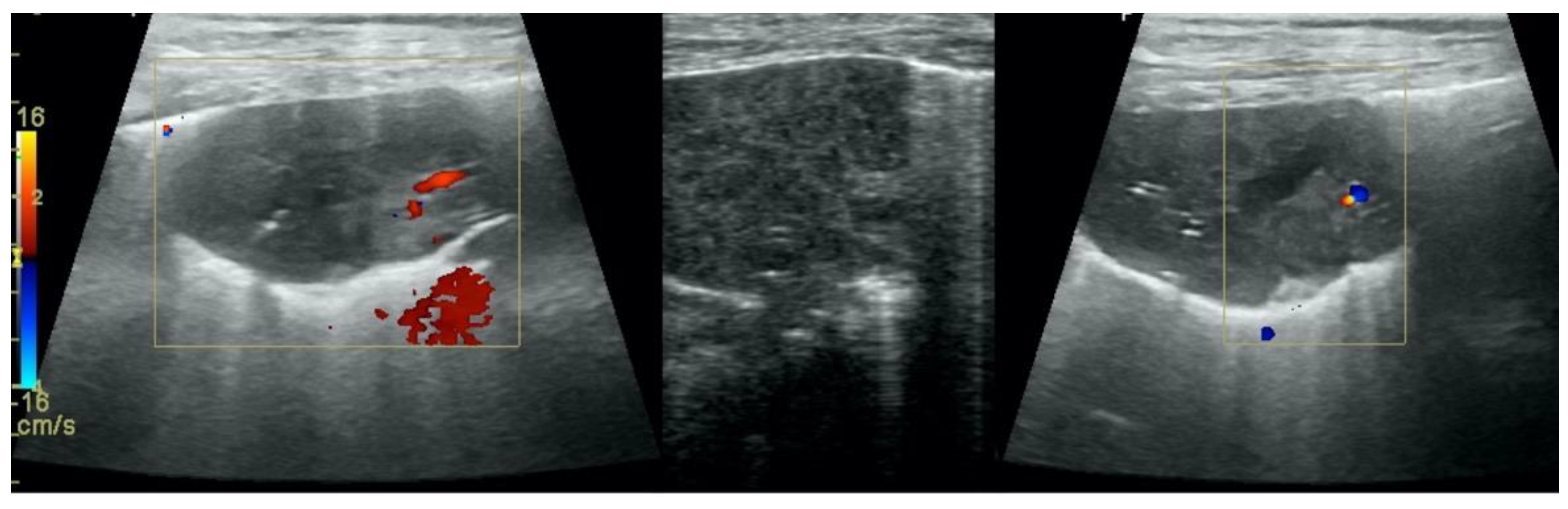 Animals 12 01154 g006 550