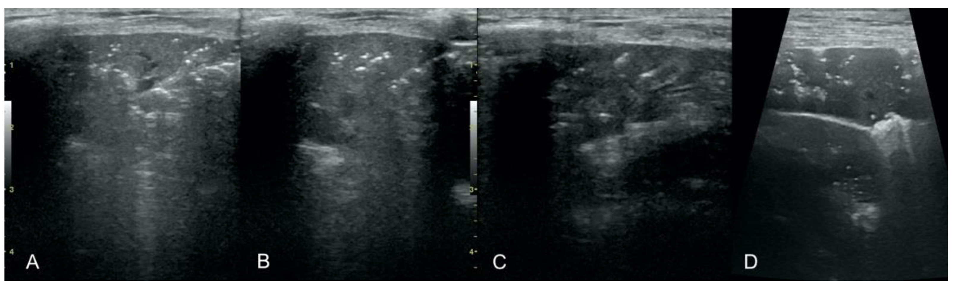 Animals 12 01154 g007 550