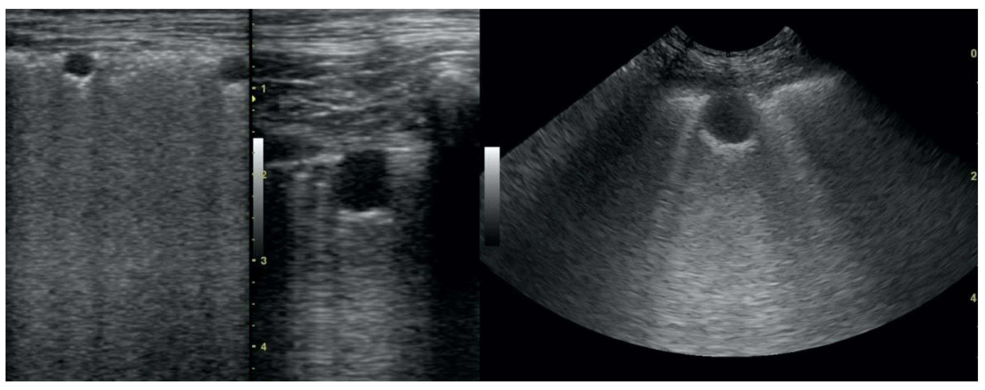 Animals 12 01154 g008 550