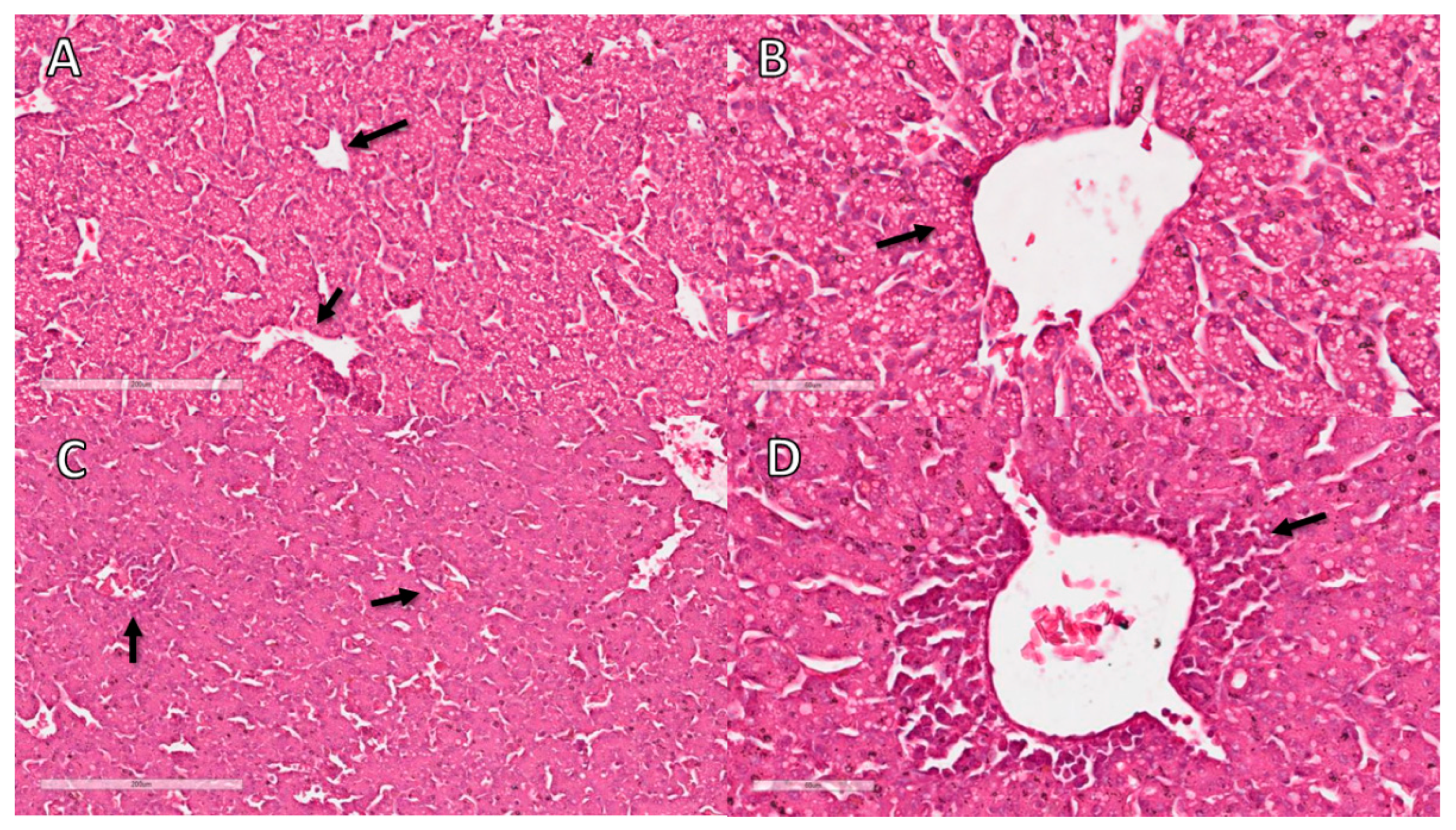 Animals 12 01156 g002