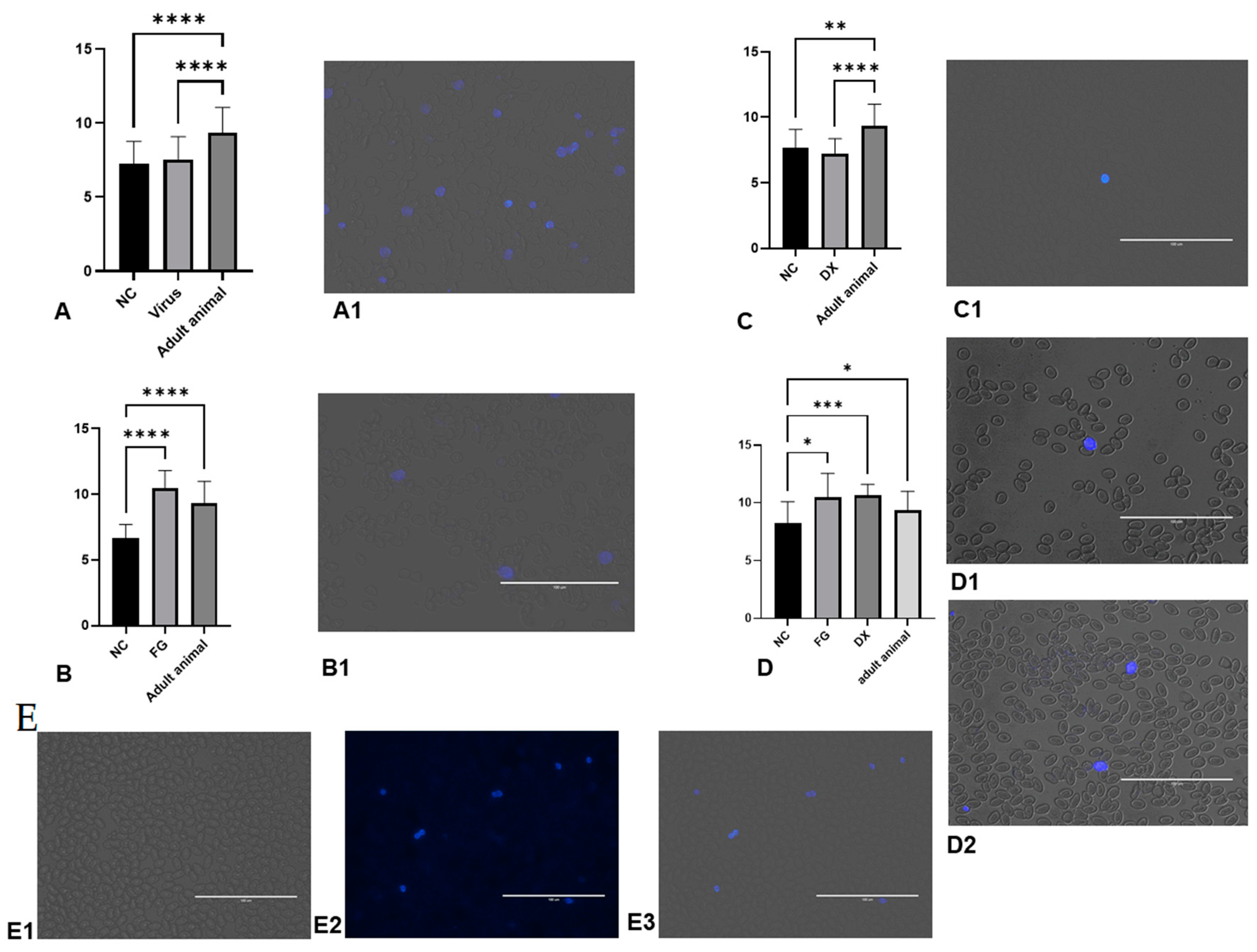 Animals 12 01156 g005