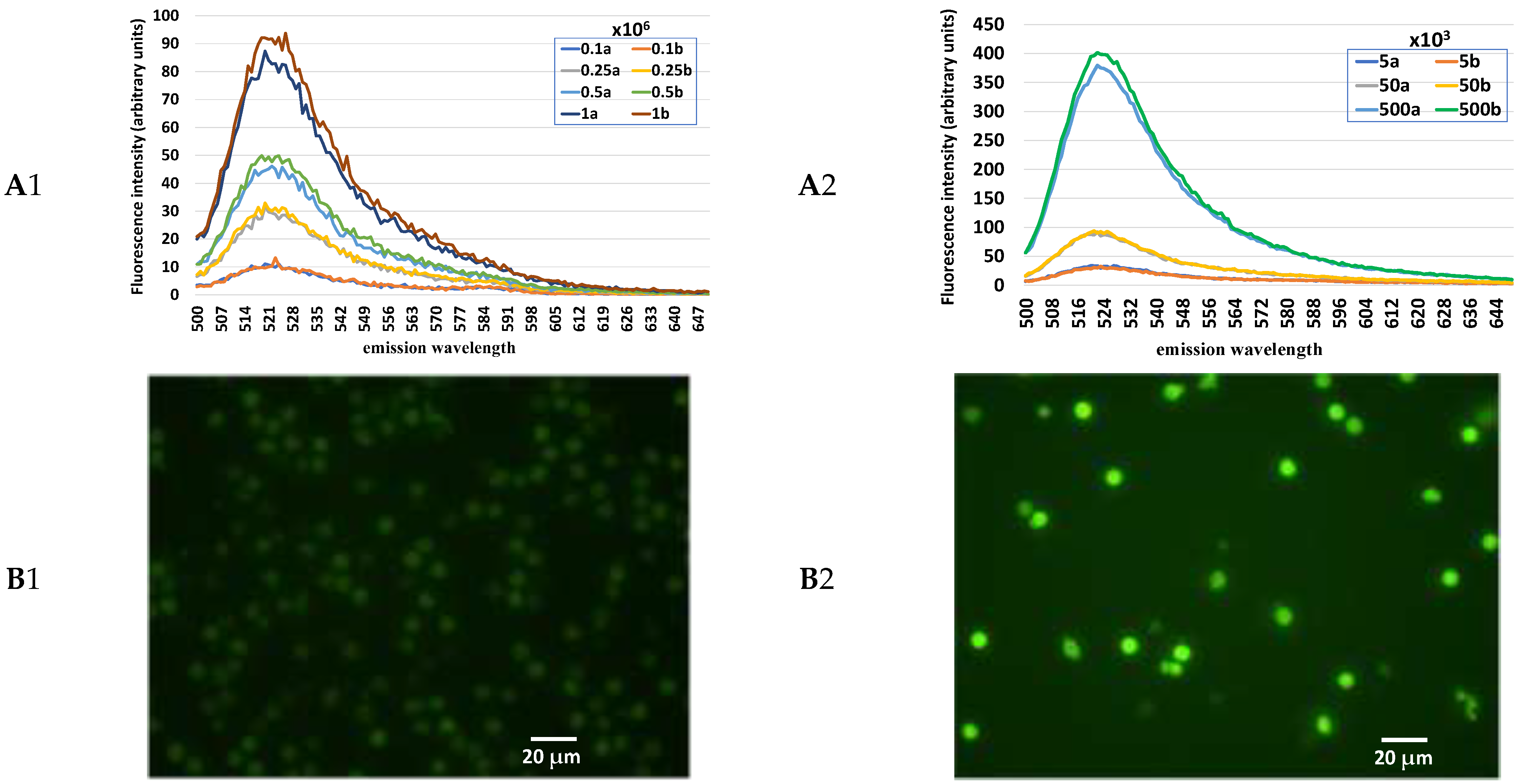Animals 12 01157 g001 550
