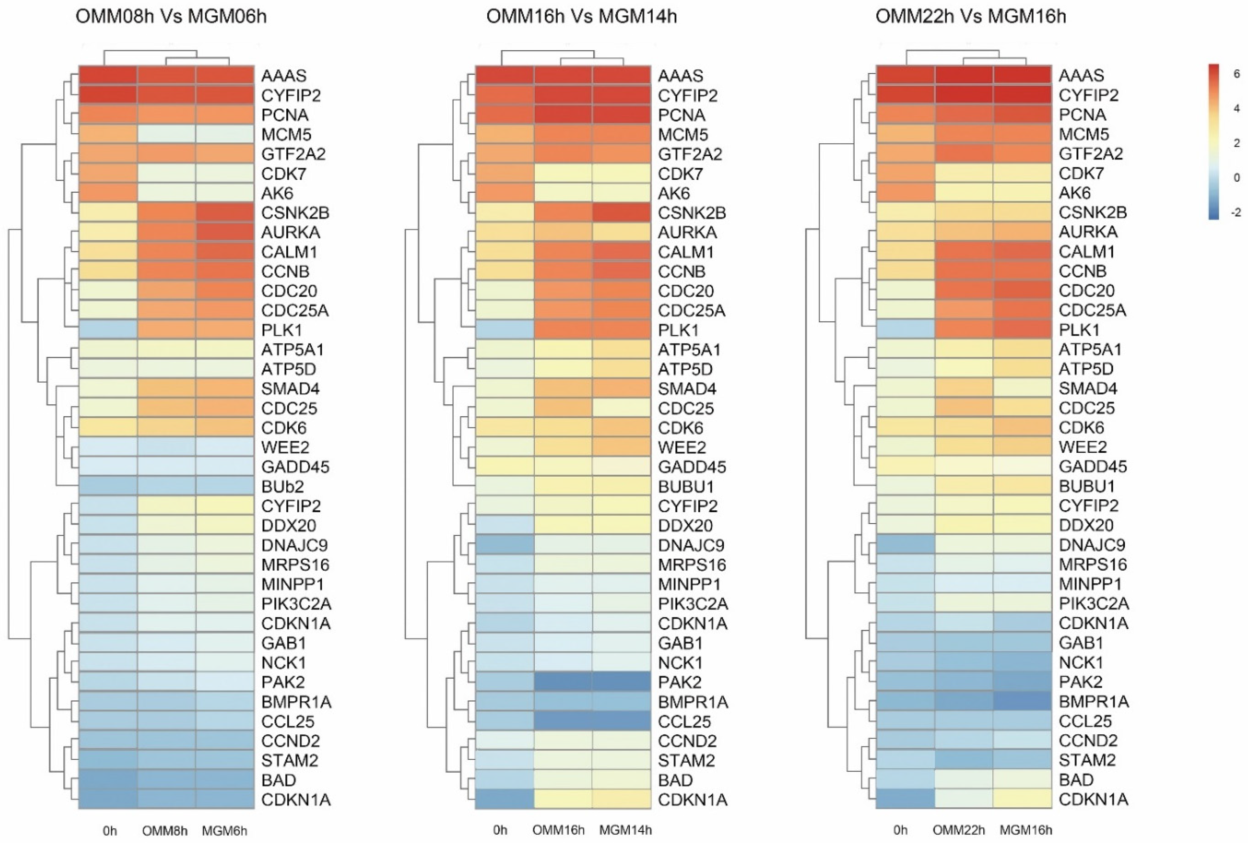 Animals 12 01158 g005 Animals 12 01158 g005