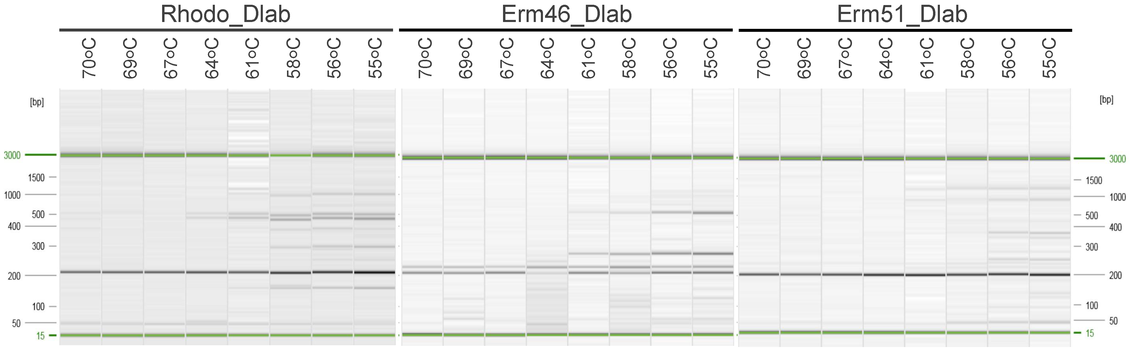 Animals 12 01172 g001 550