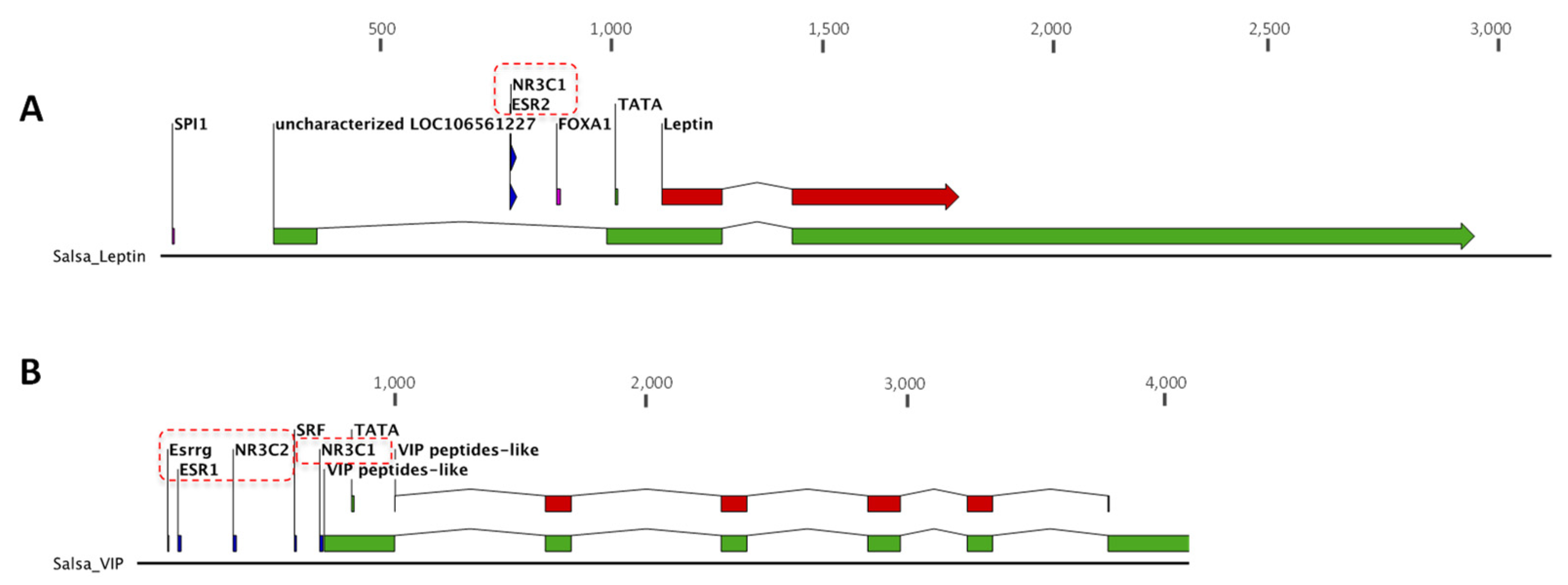 Animals 12 01174 g006