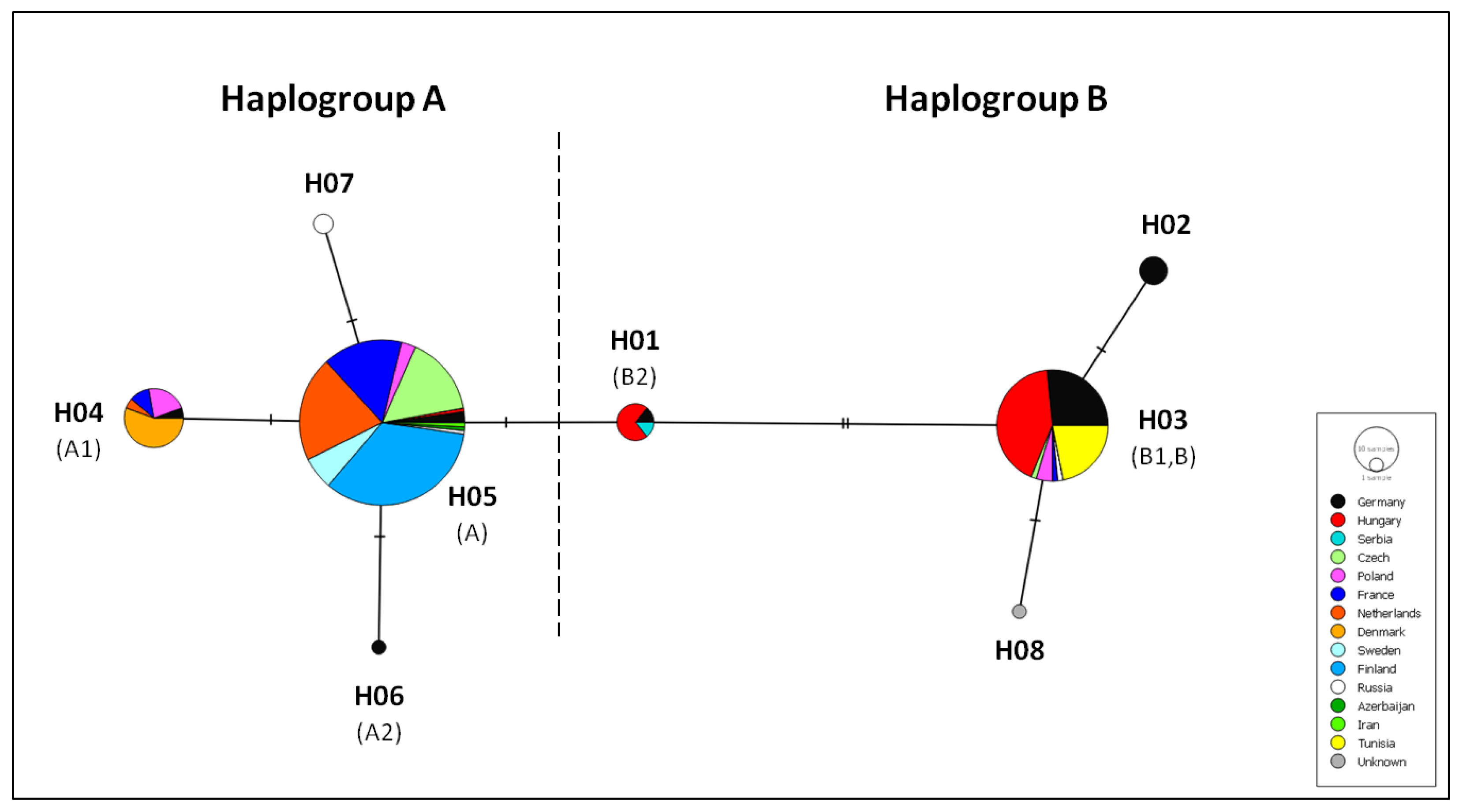 Animals 12 01178 g005 Animals 12 01178 g005