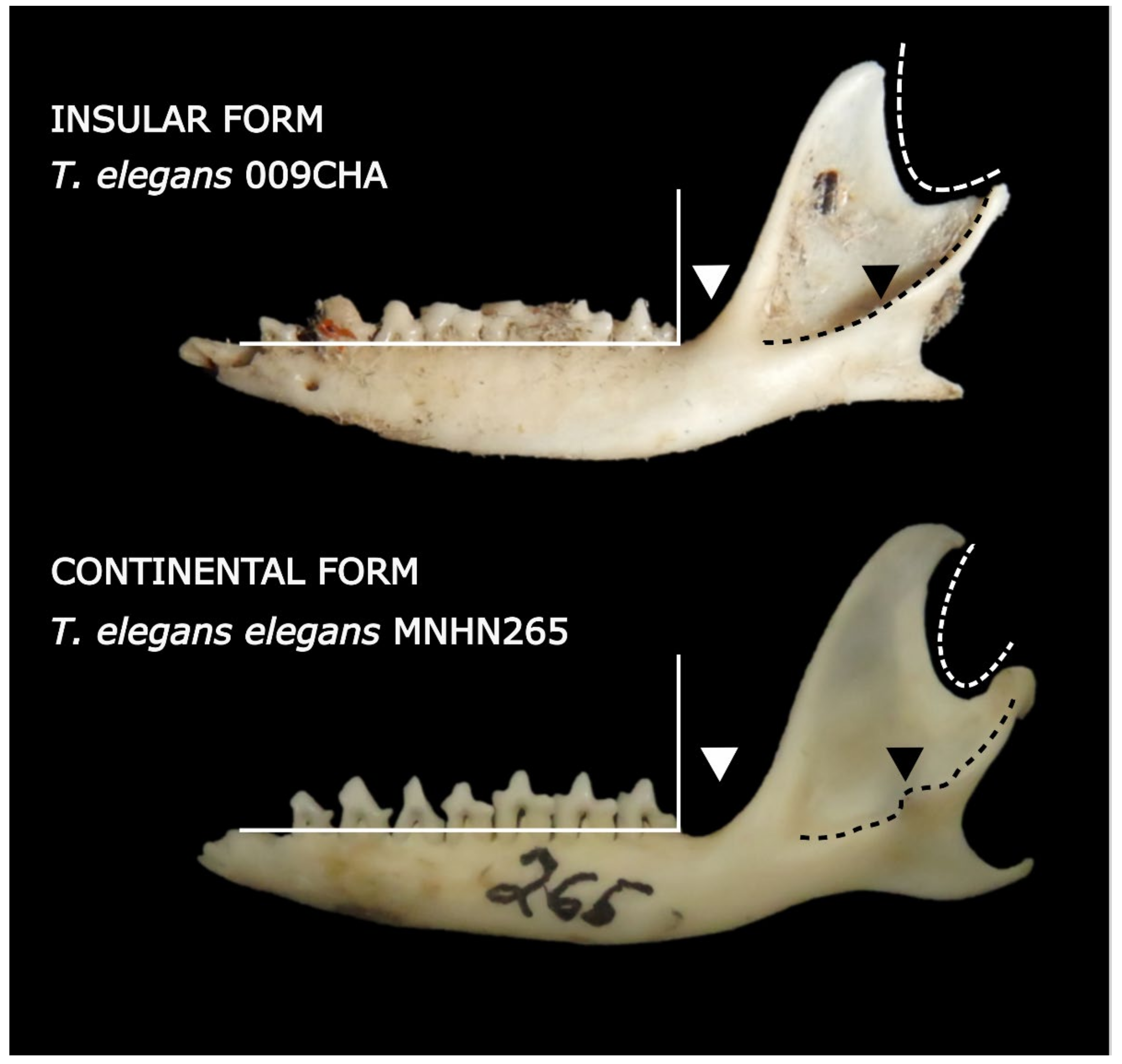 Animals 12 01179 g004 Animals 12 01179 g004