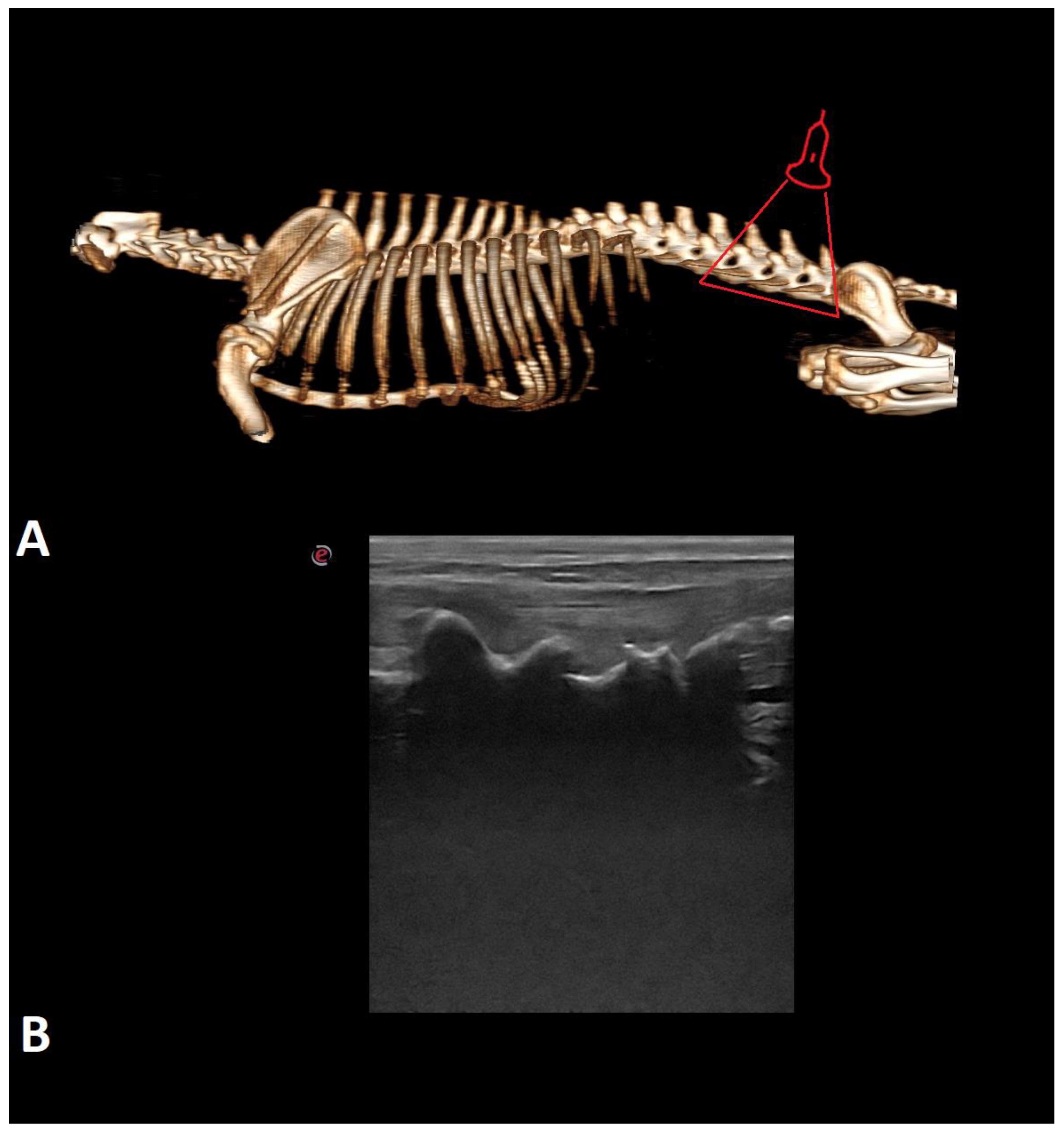 Animals 12 01187 g001