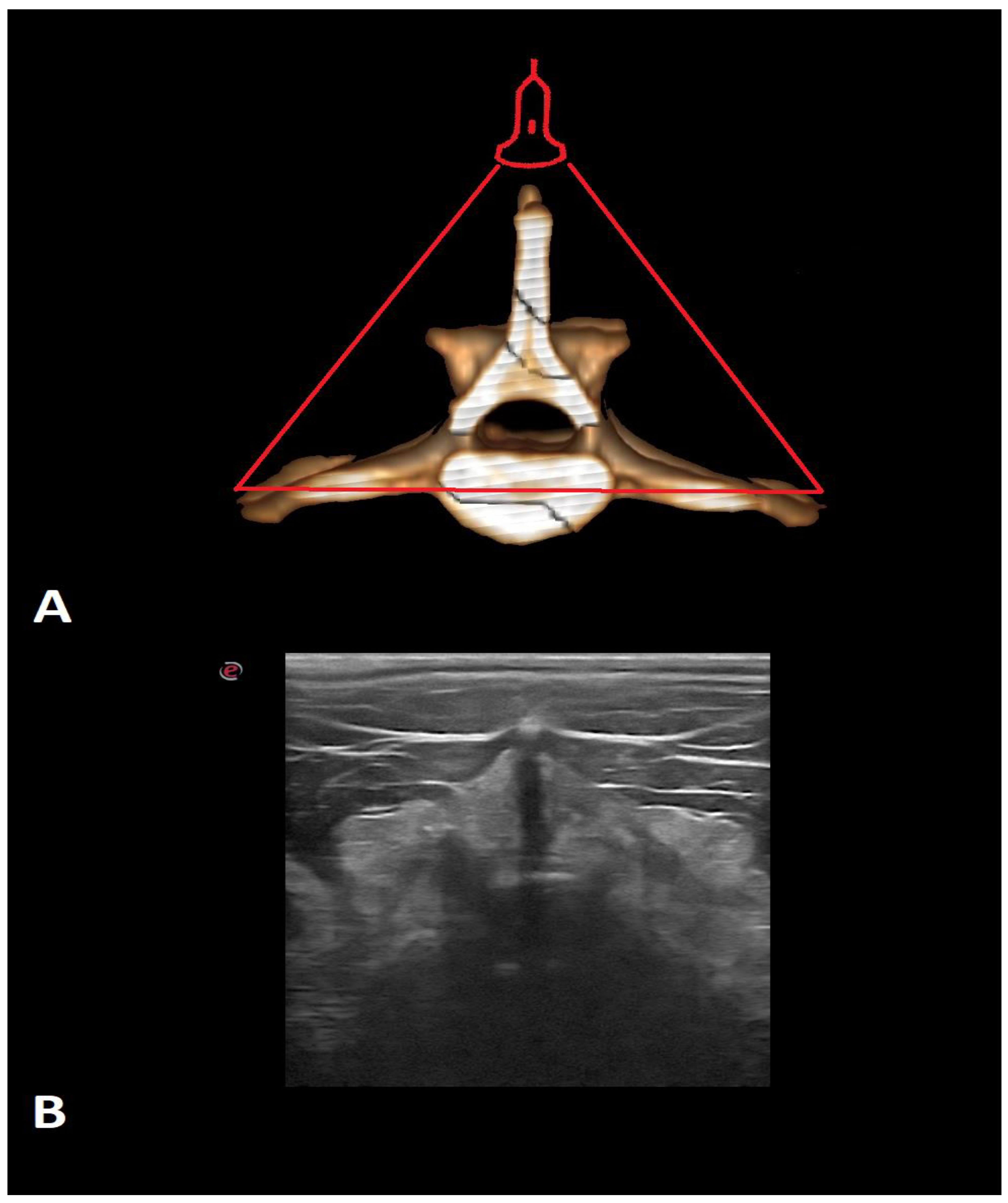 Animals 12 01187 g002
