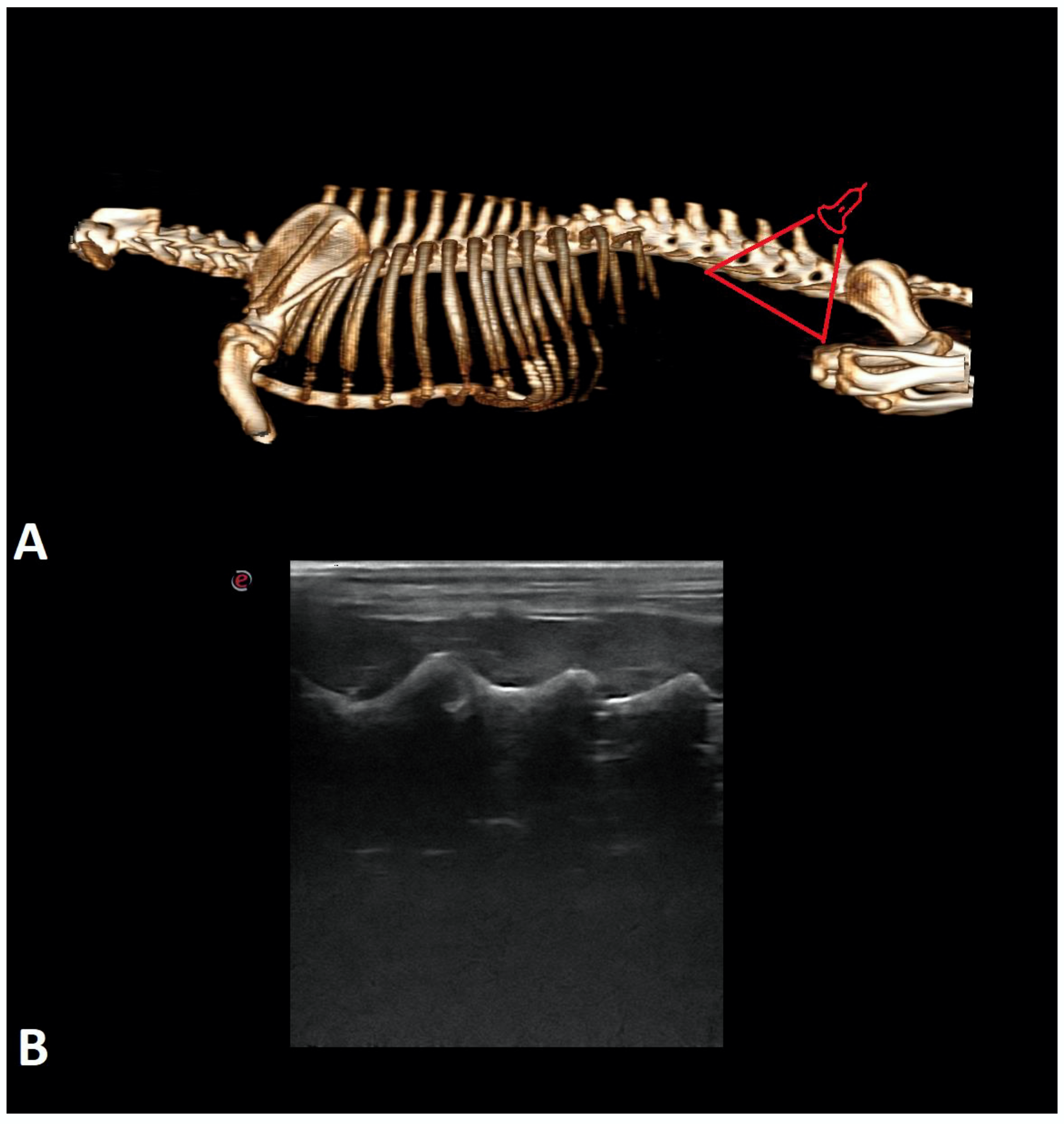 Animals 12 01187 g003