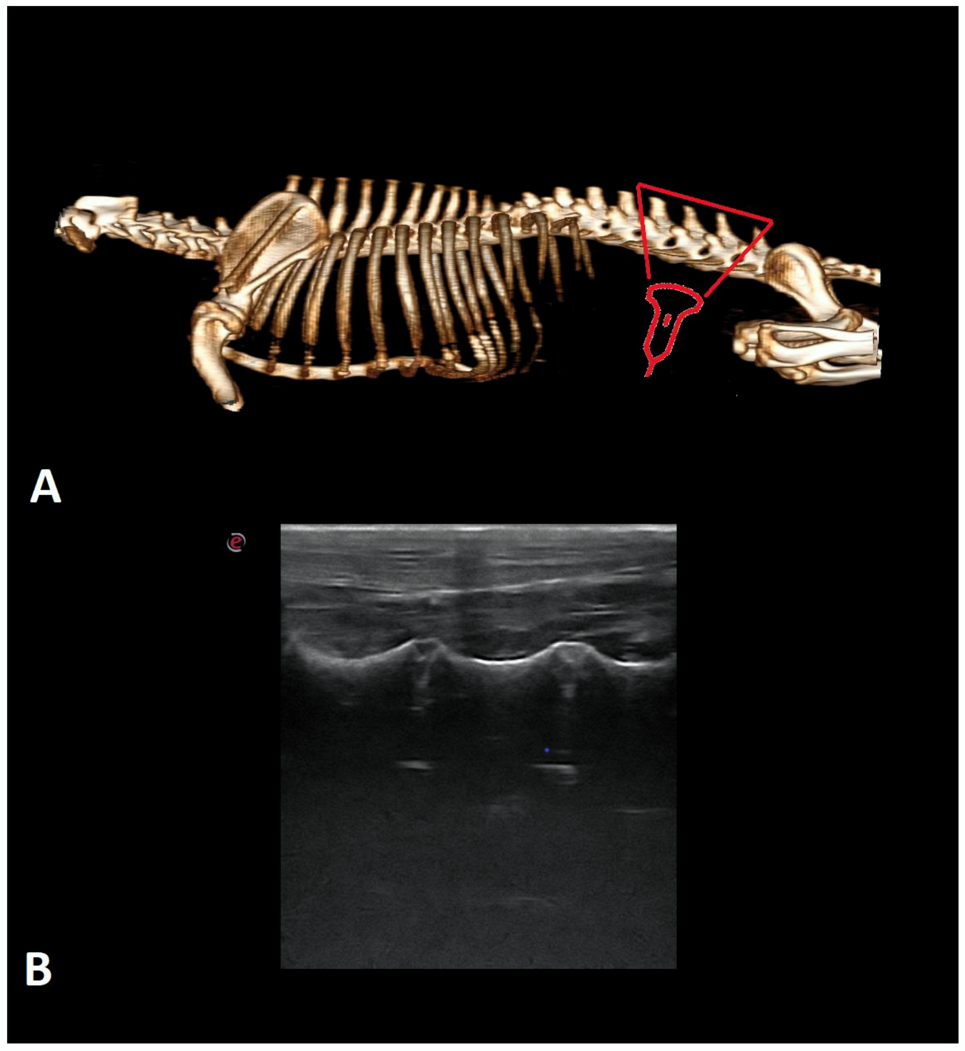 Animals 12 01187 g004