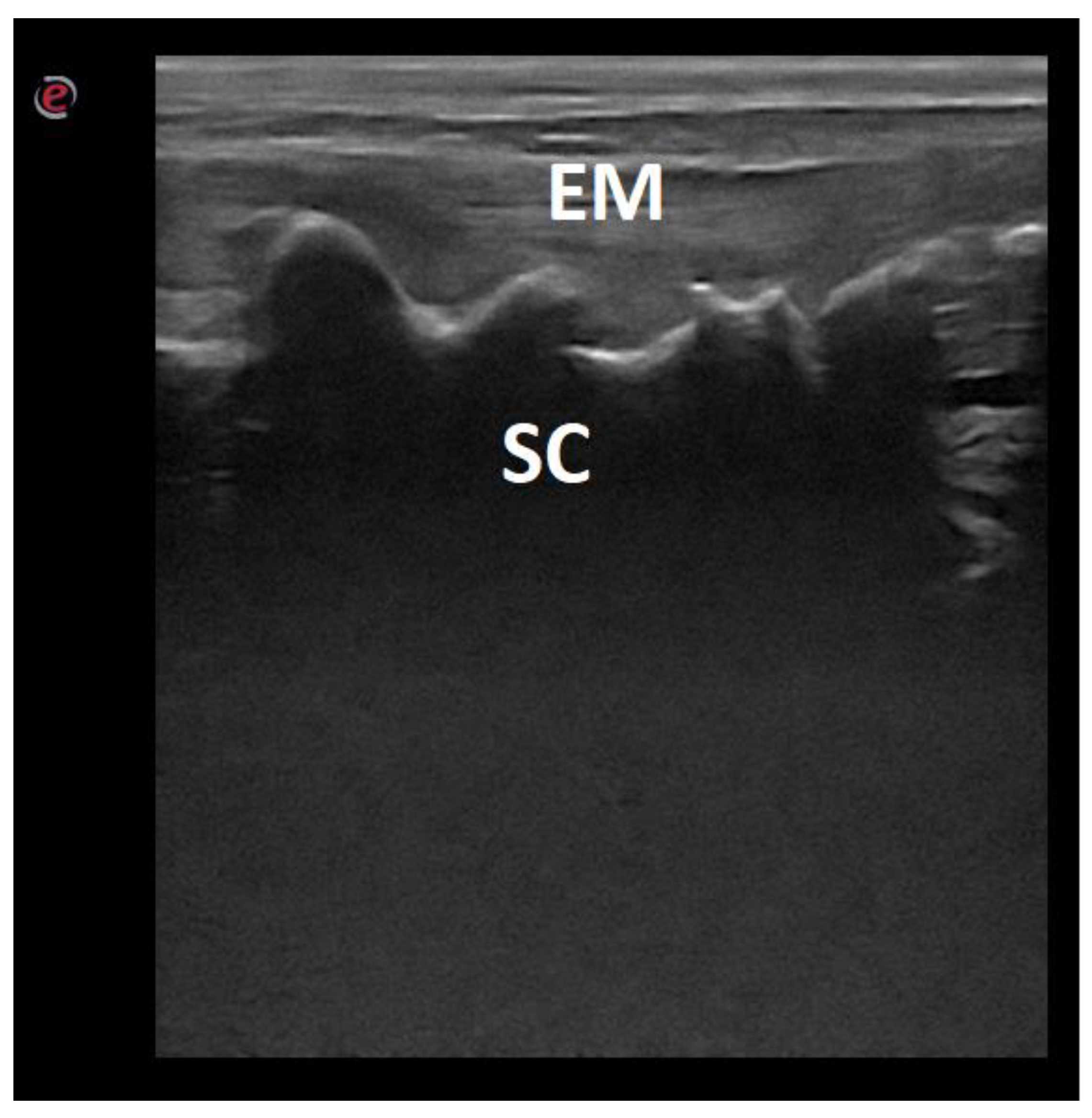 Animals 12 01187 g005