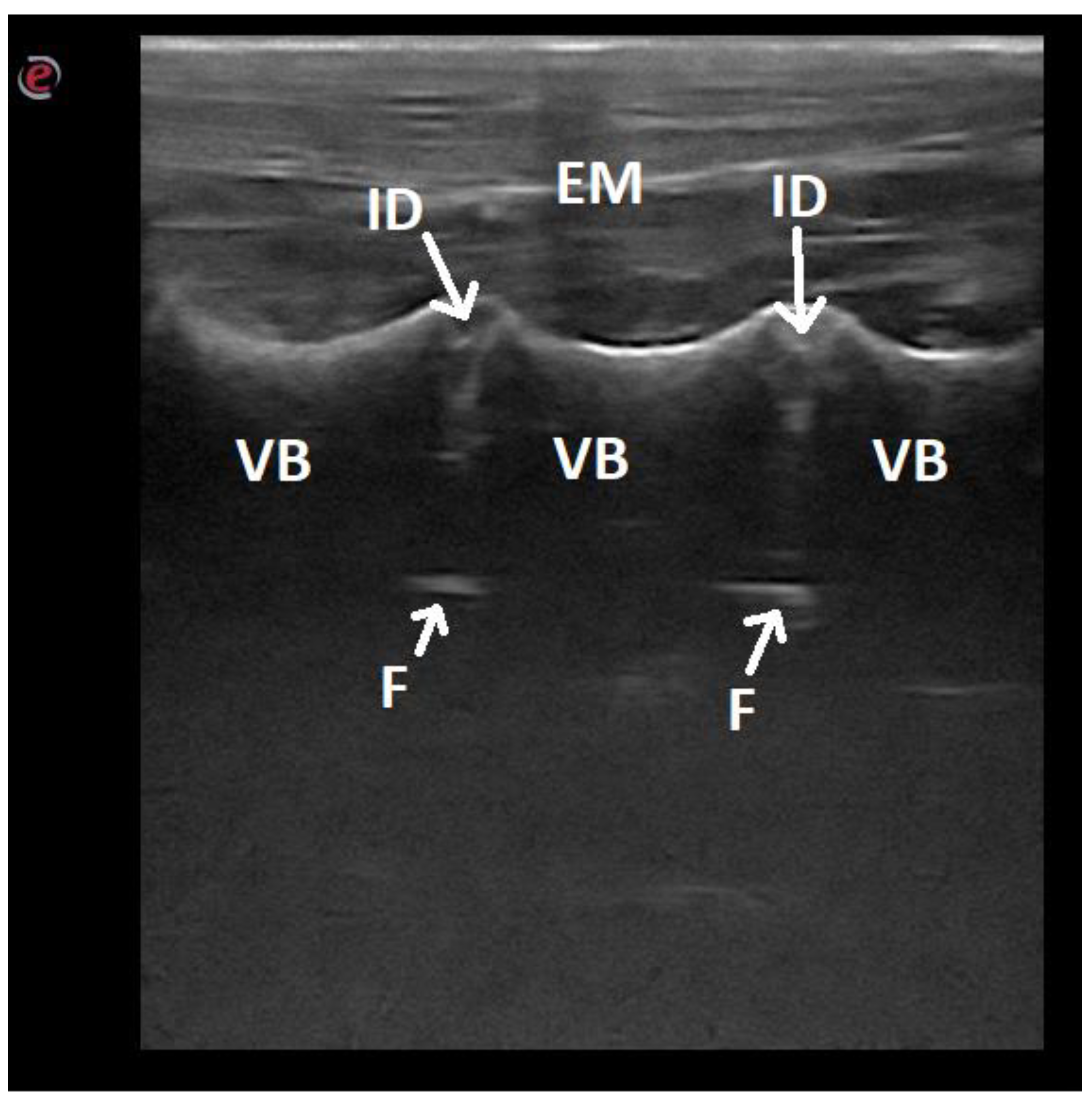 Animals 12 01187 g006