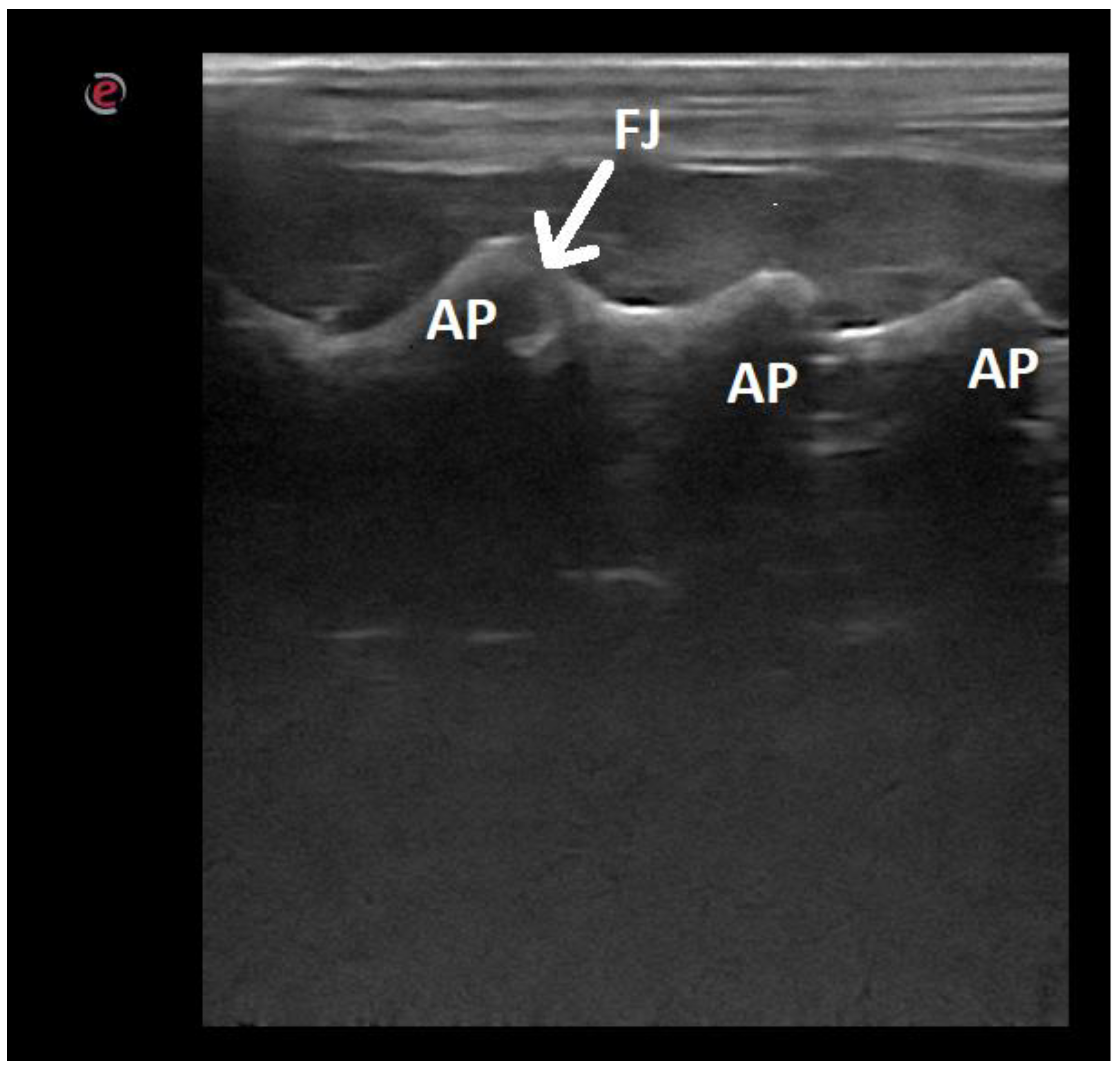 Animals 12 01187 g008