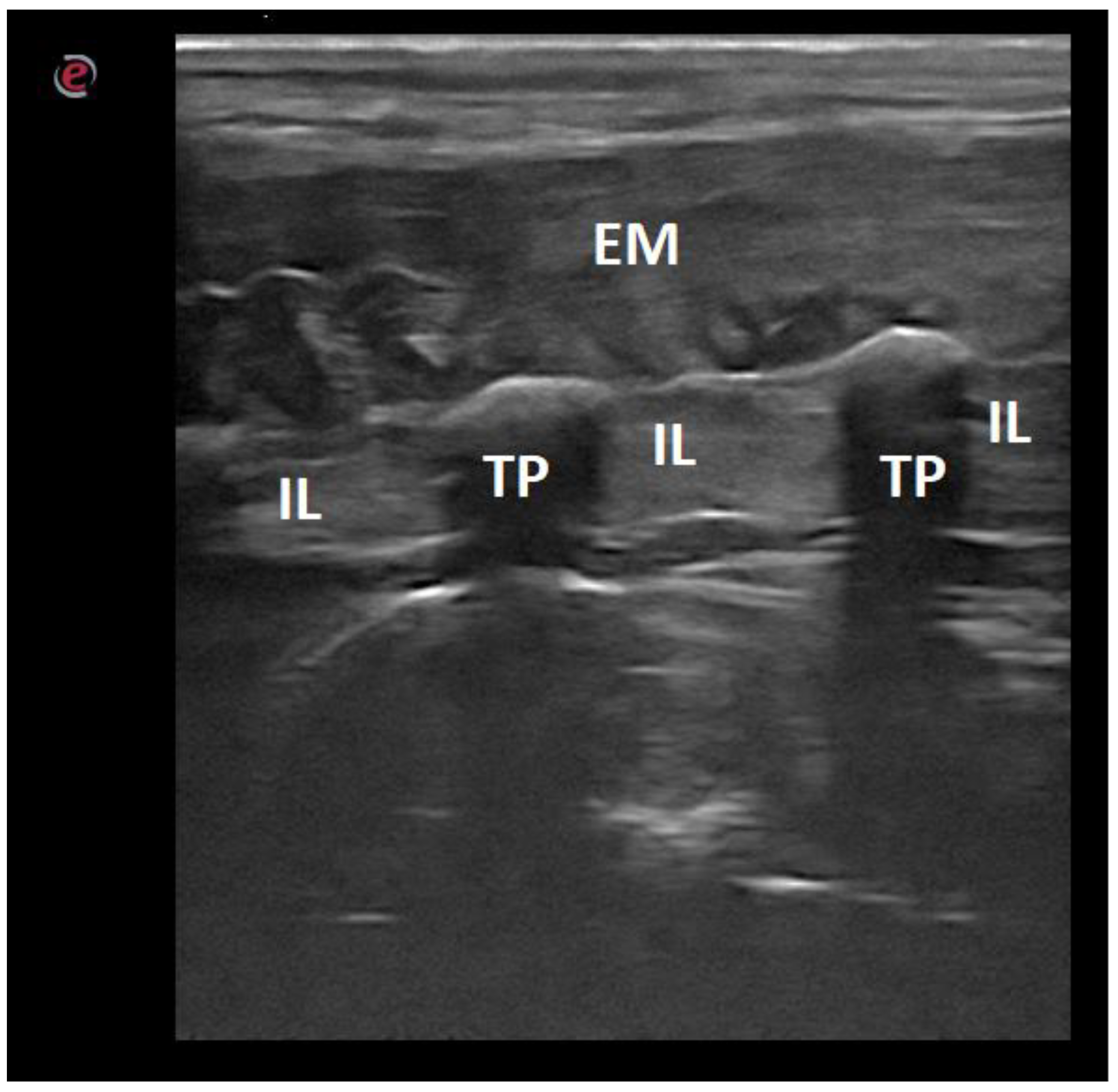 Animals 12 01187 g009