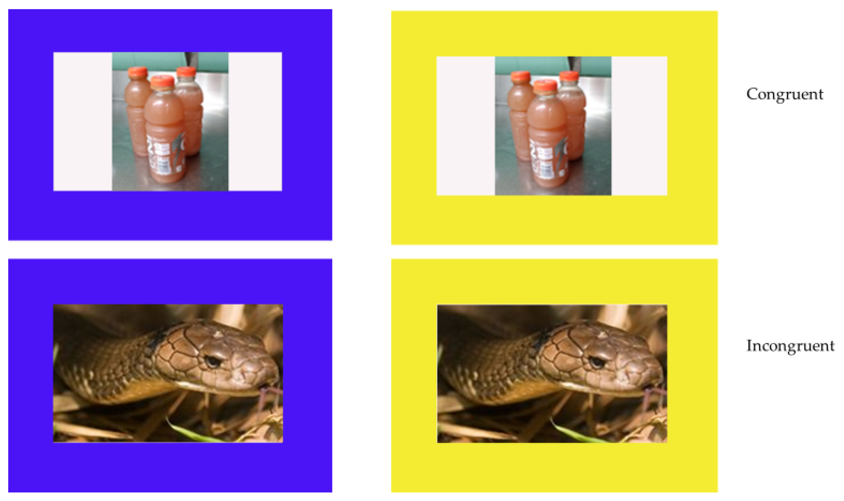 Animals | Free Full-Text | Testing for the “Blues”: Using the Modified Emotional Stroop Task to Assess the Emotional Response of Gorillas Animals | Free Full-Text | Testing for the “Blues”: Using the Modified Emotional Stroop Task to Assess the Emotional Response of Gorillas