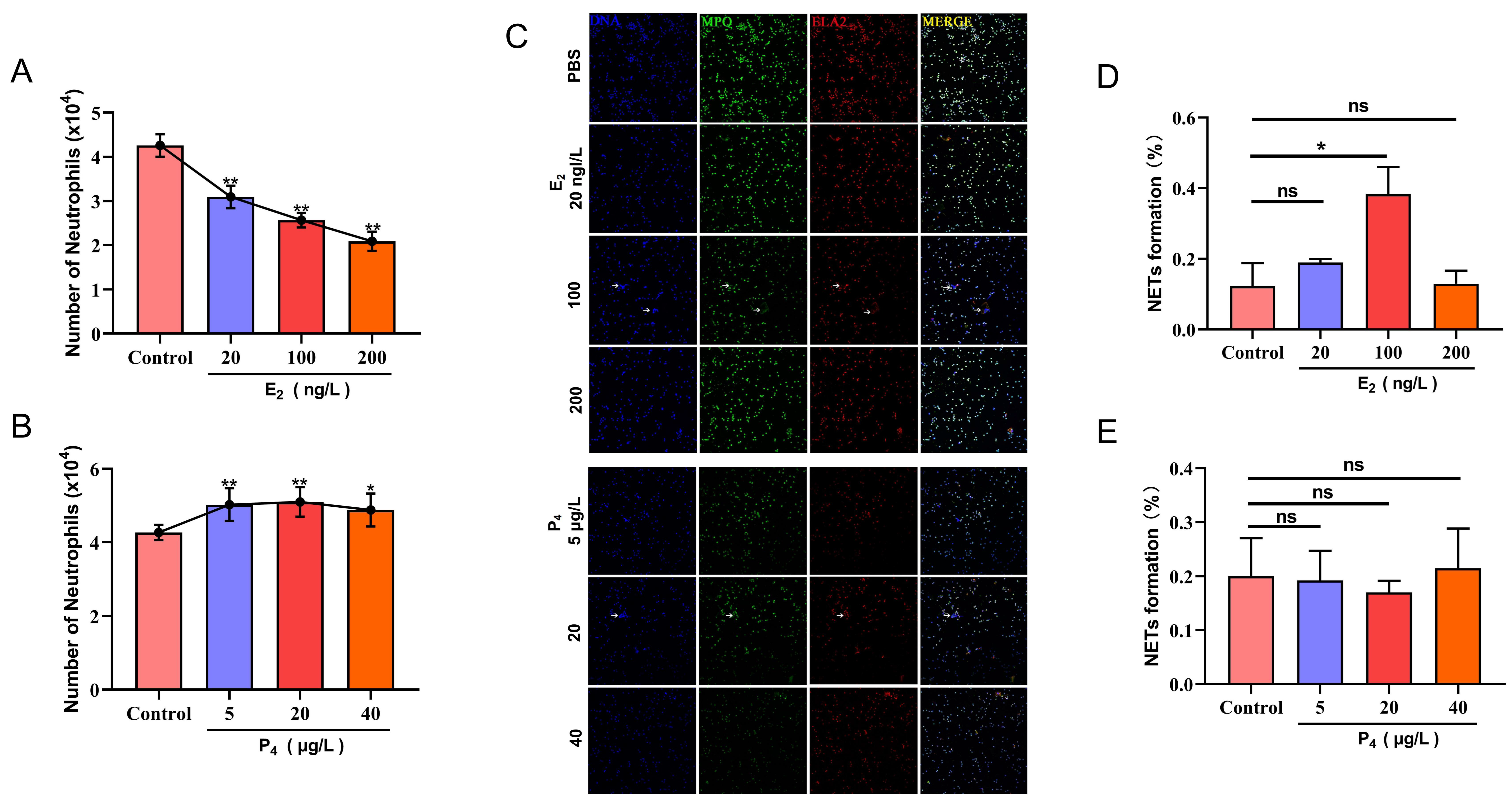 Animals 12 01190 g001