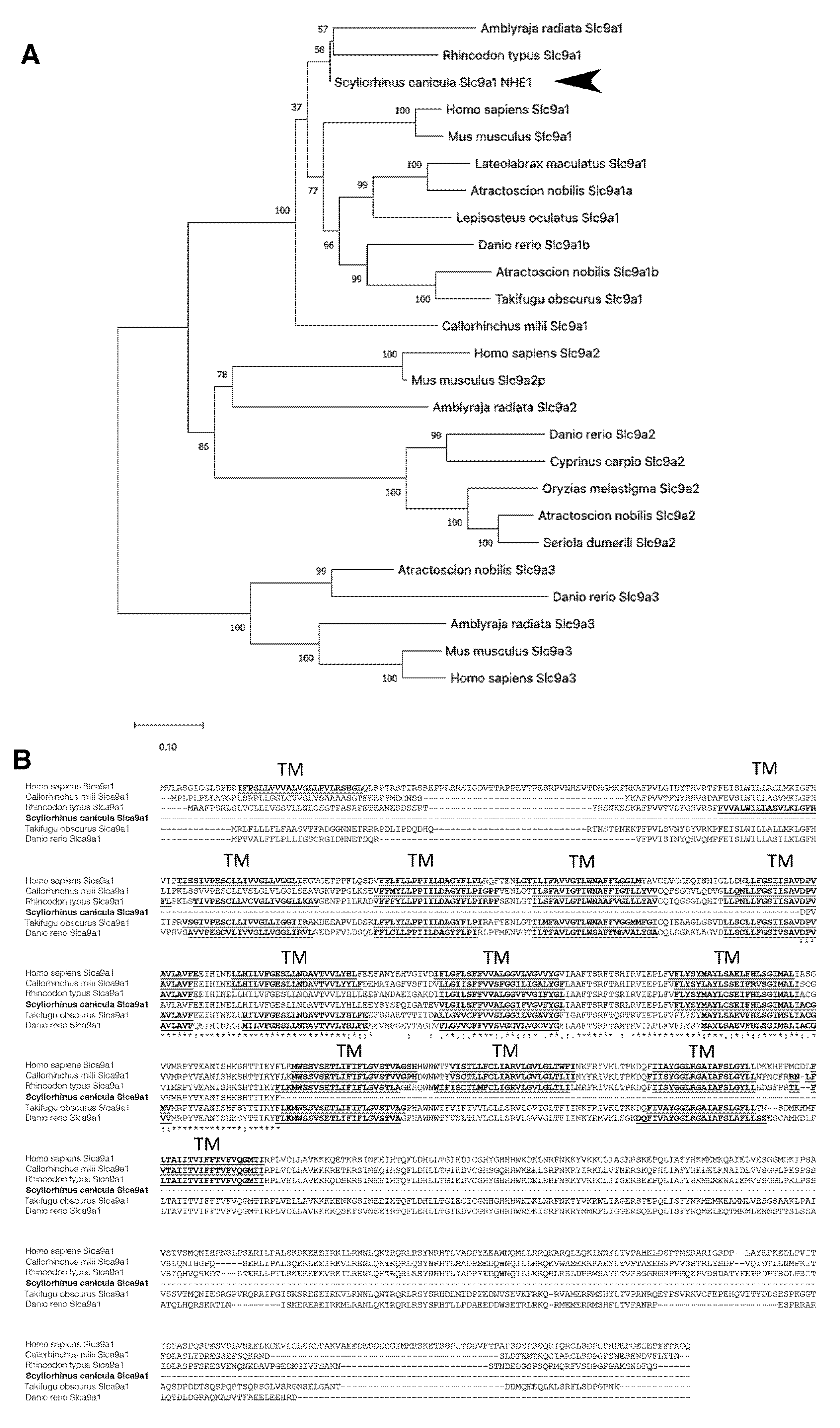 Animals 12 01192 g005 Animals 12 01192 g005