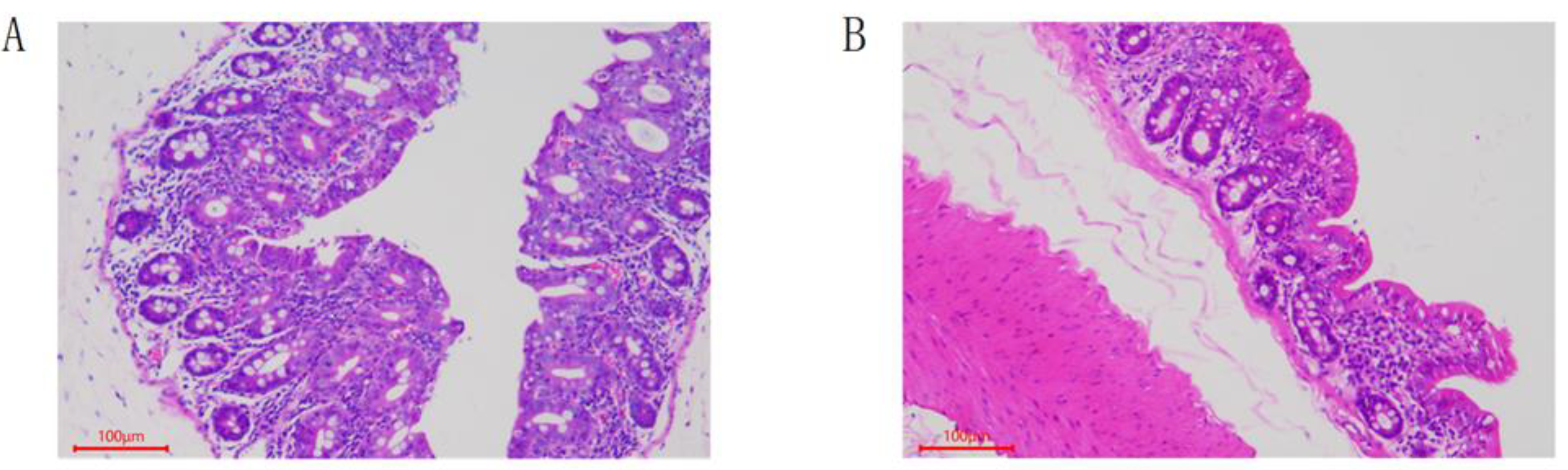 Animals 12 01194 g001 550