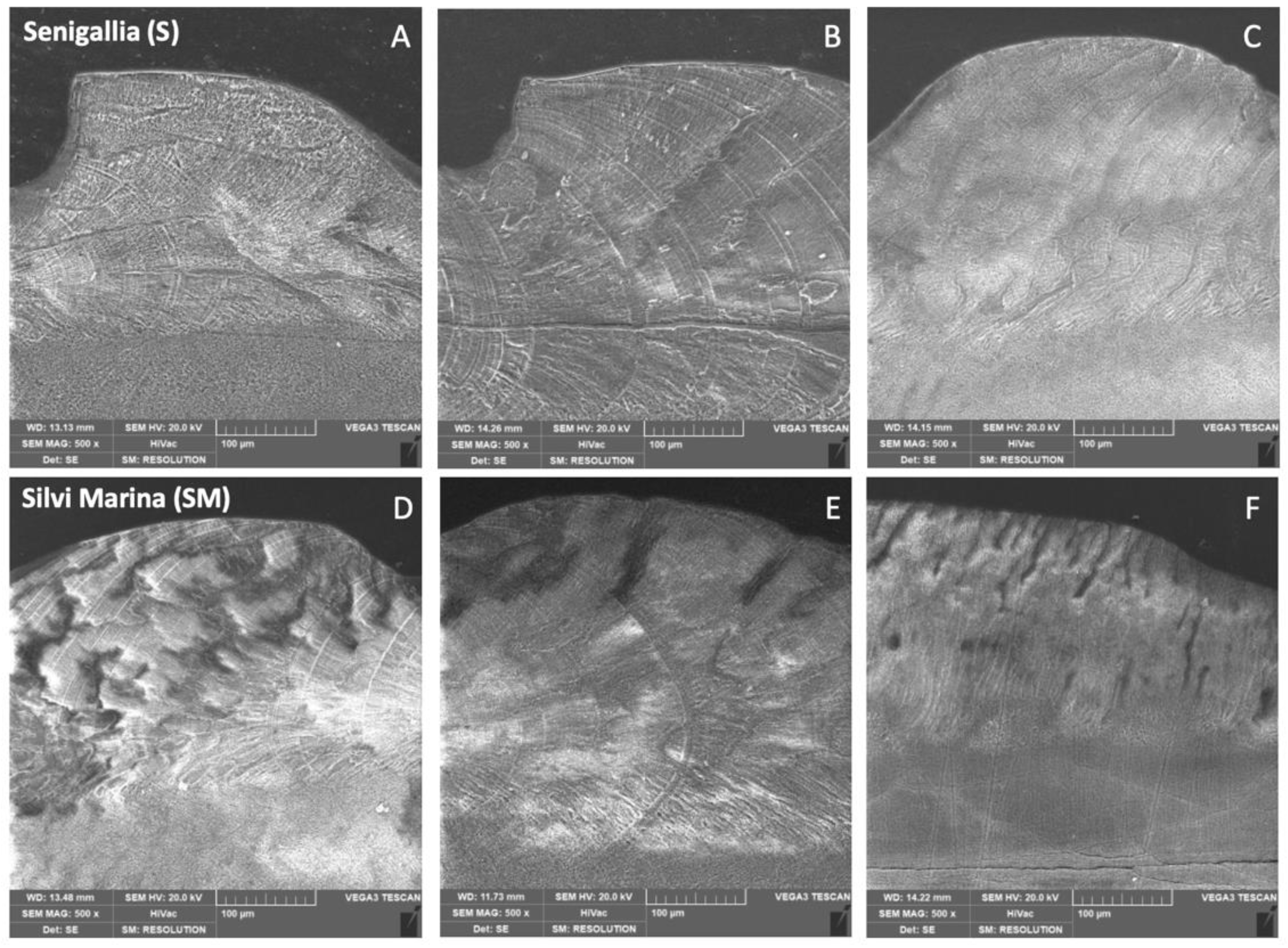 Animals 12 01196 g003