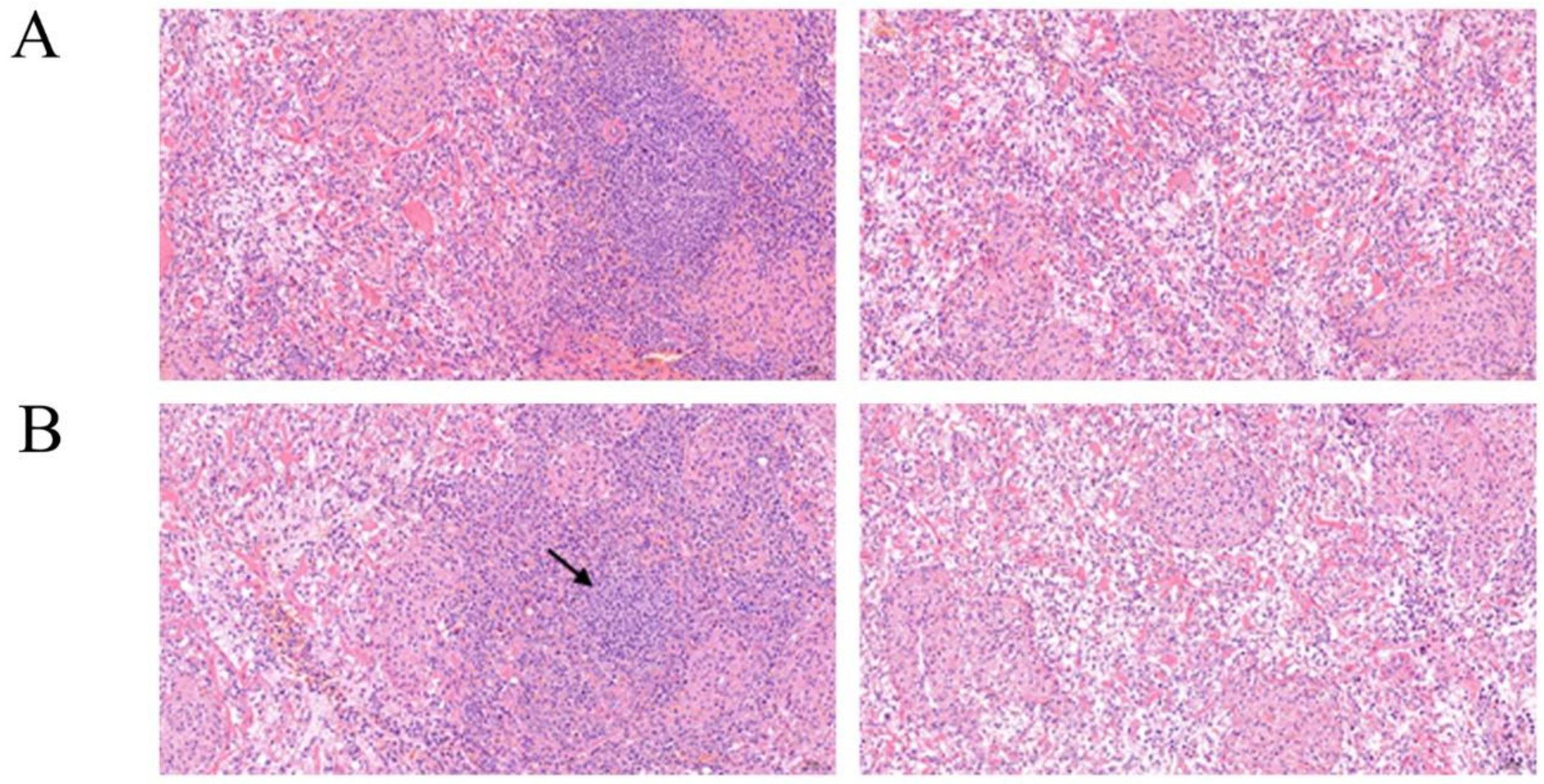 Animals 12 01204 g001