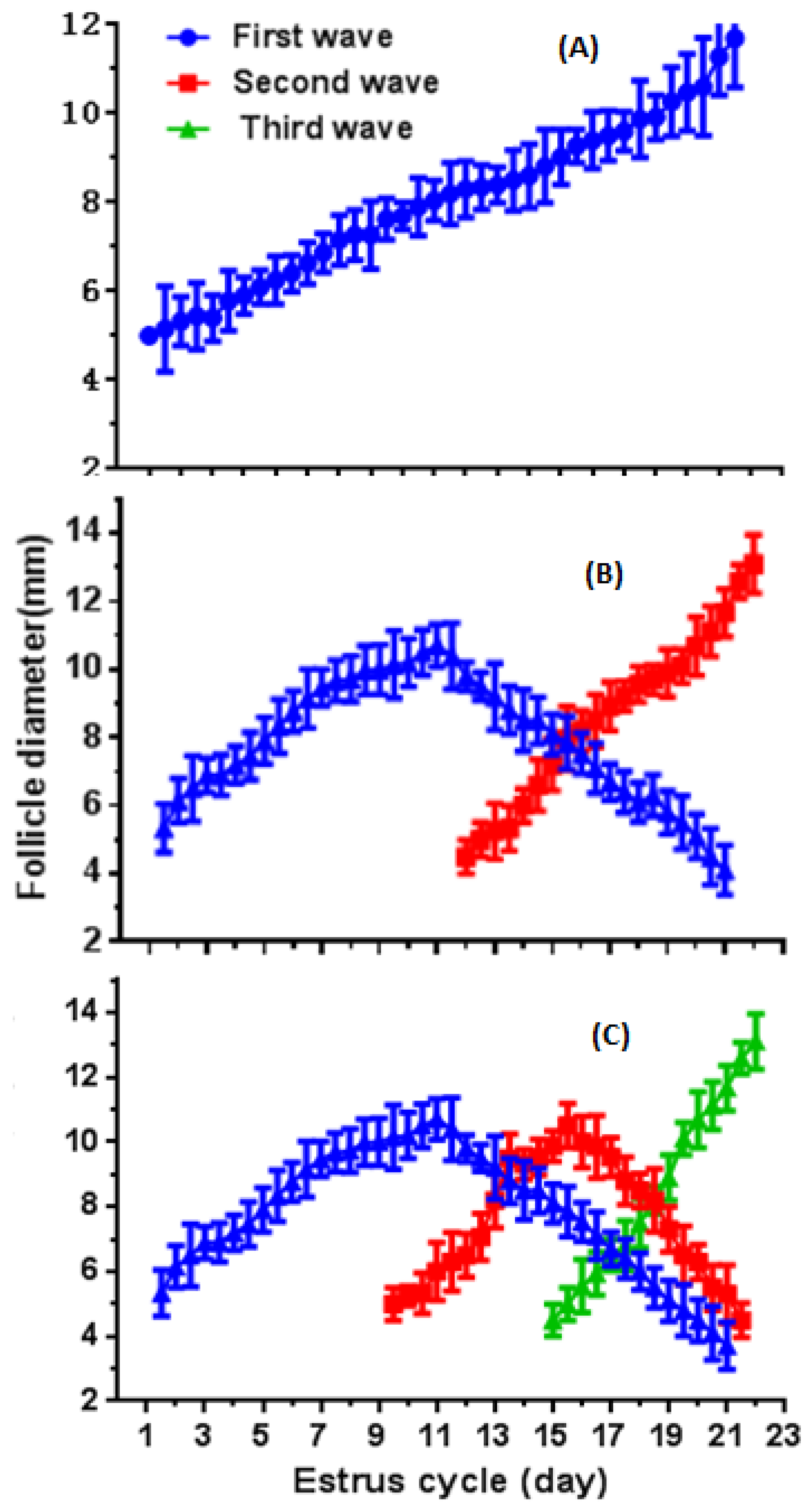 Animals | Free Full-Text | Follicular Dynamics during Estrous Cycle of Pubertal, Mature and Postpartum Crossbred (Nili Ravi × Jianghan) Buffaloes Animals | Free Full-Text | Follicular Dynamics during Estrous Cycle of Pubertal, Mature and Postpartum Crossbred (Nili Ravi × Jianghan) Buffaloes