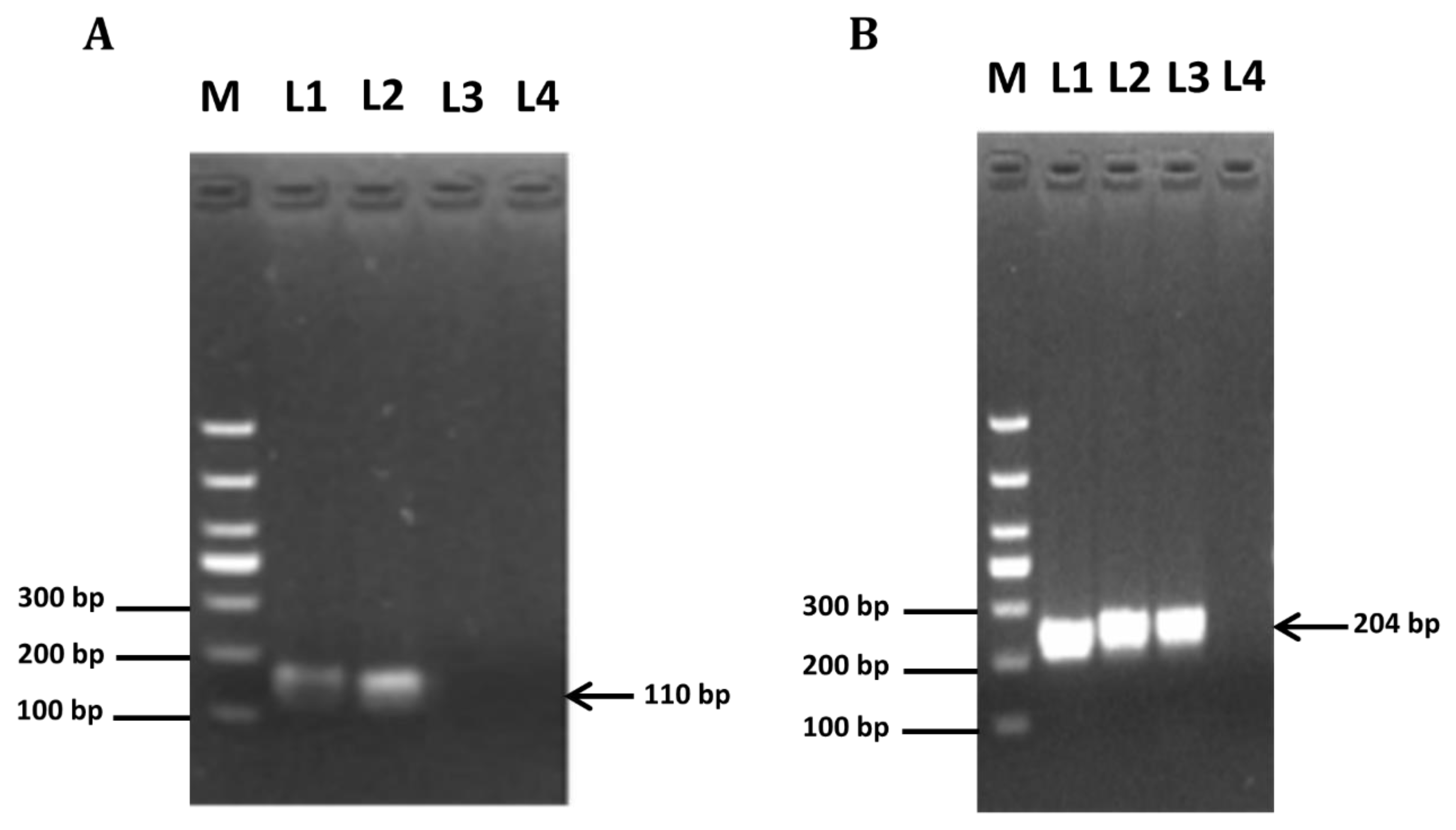 Animals 12 01209 g001 Animals 12 01209 g001