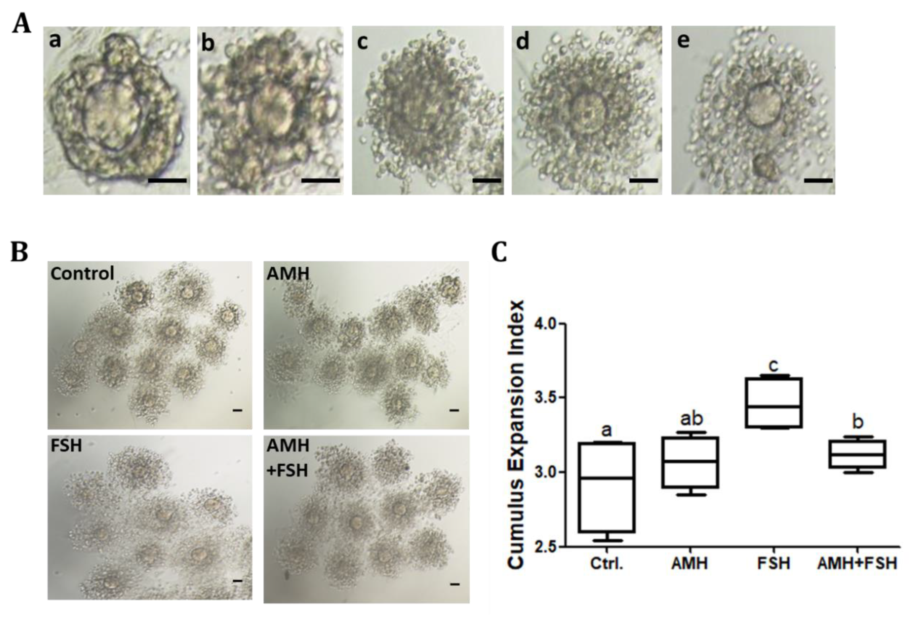 Animals 12 01209 g003 Animals 12 01209 g003