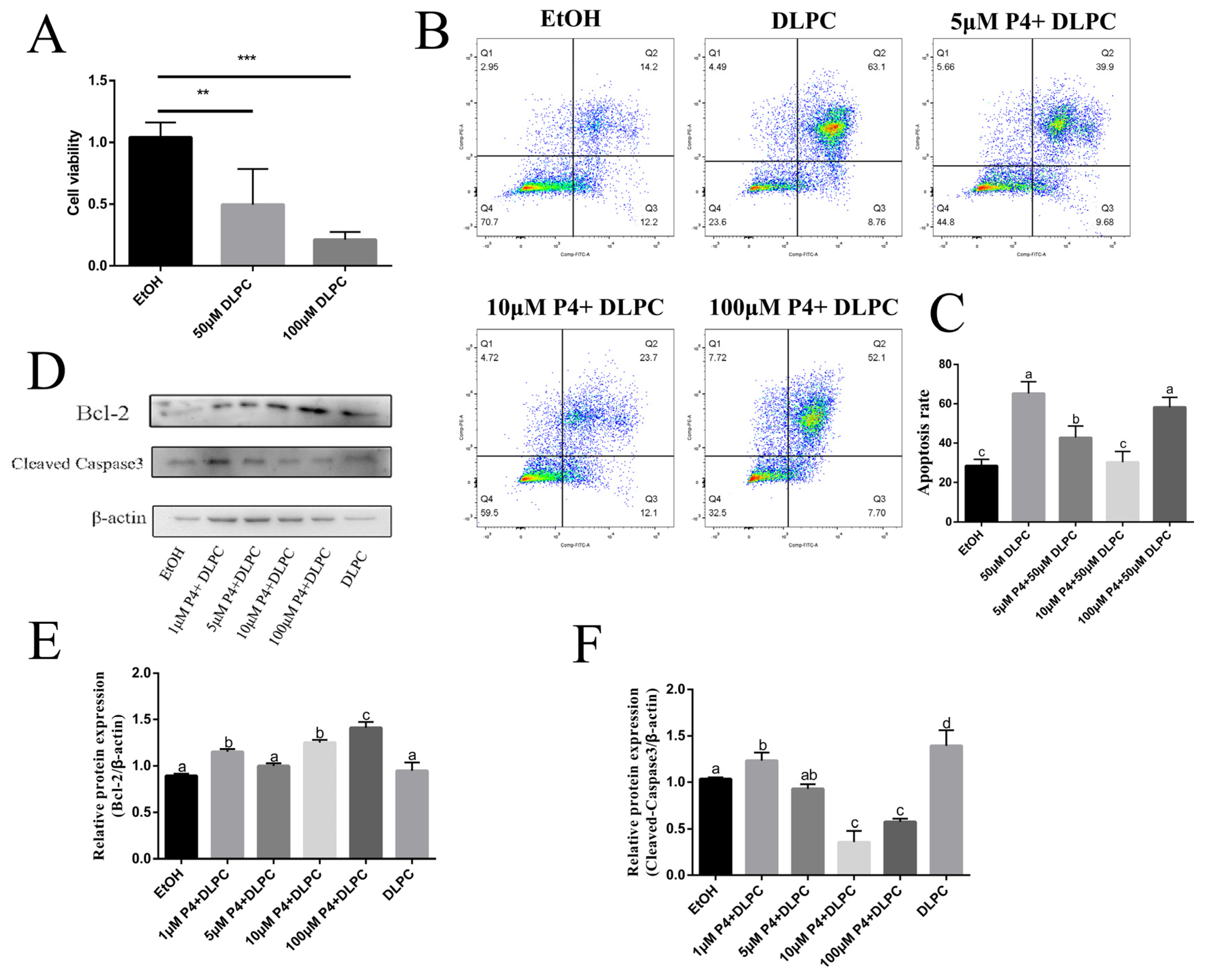 Animals 12 01213 g004