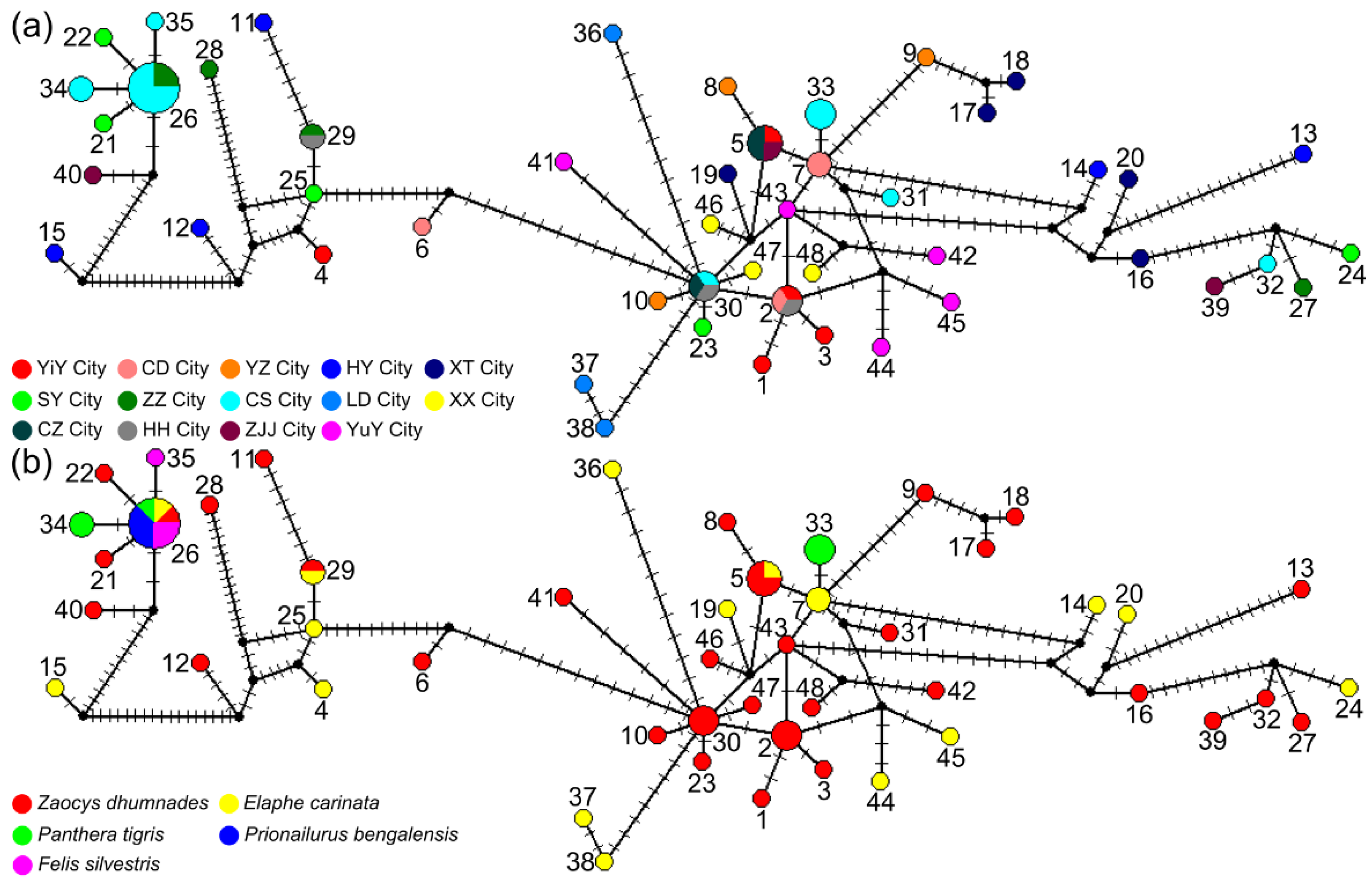 Animals 12 01216 g002