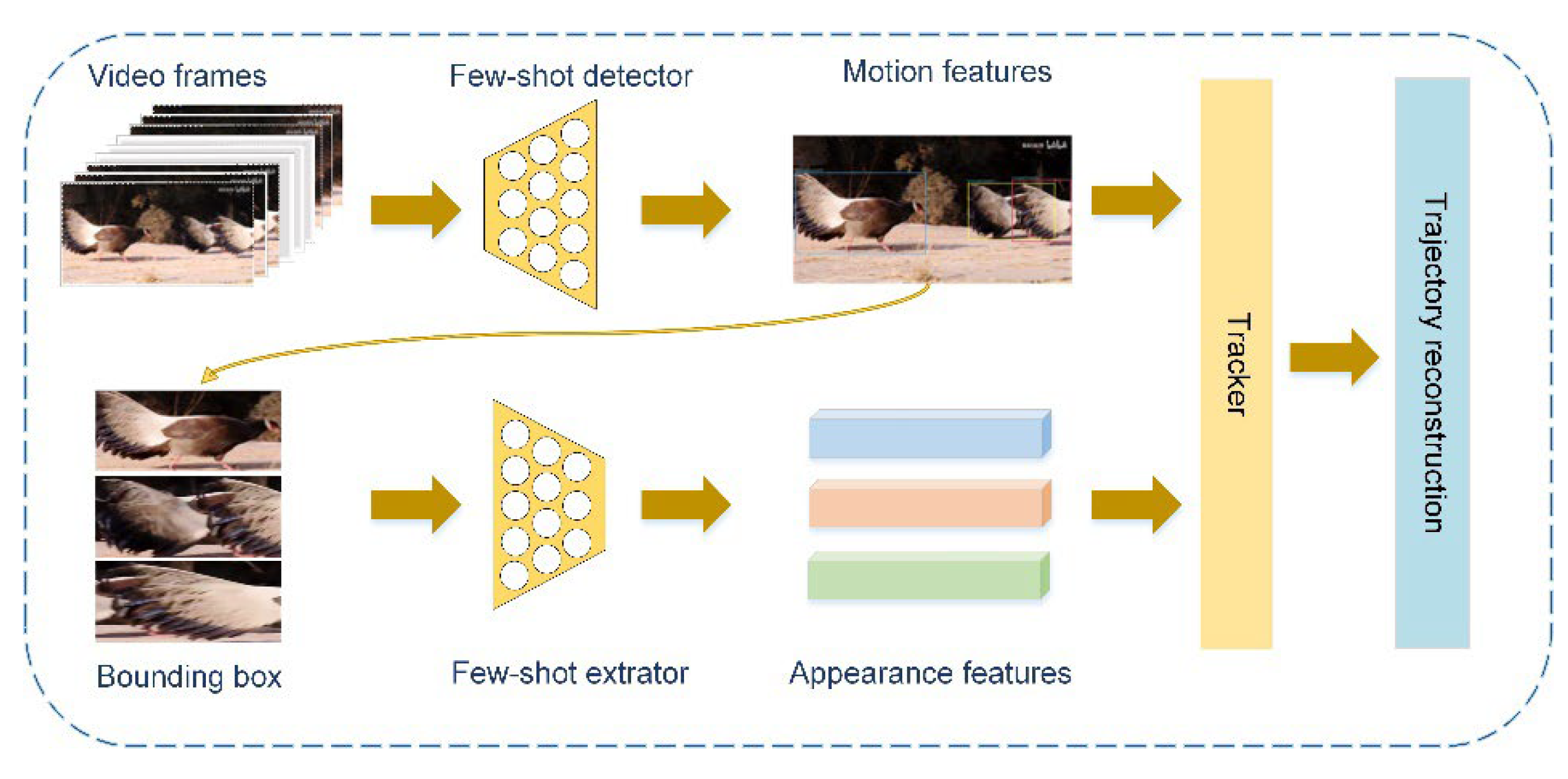 Animals 12 01223 g001 550