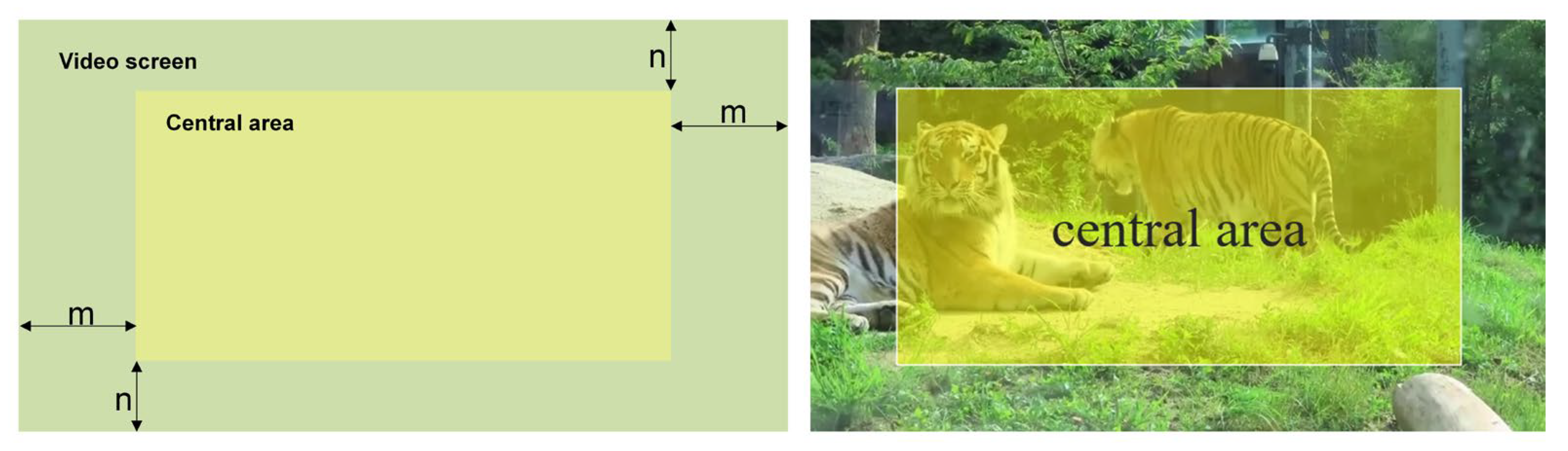 Animals 12 01223 g006 550