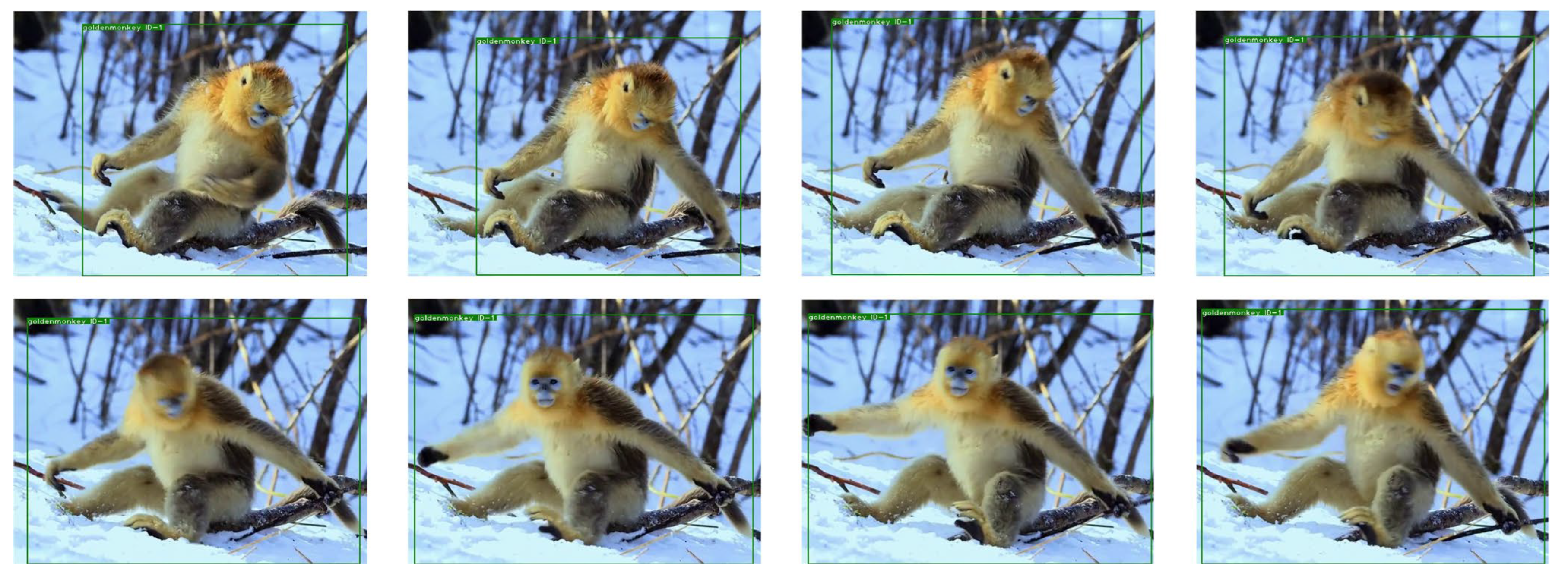 Animals 12 01223 g009 550