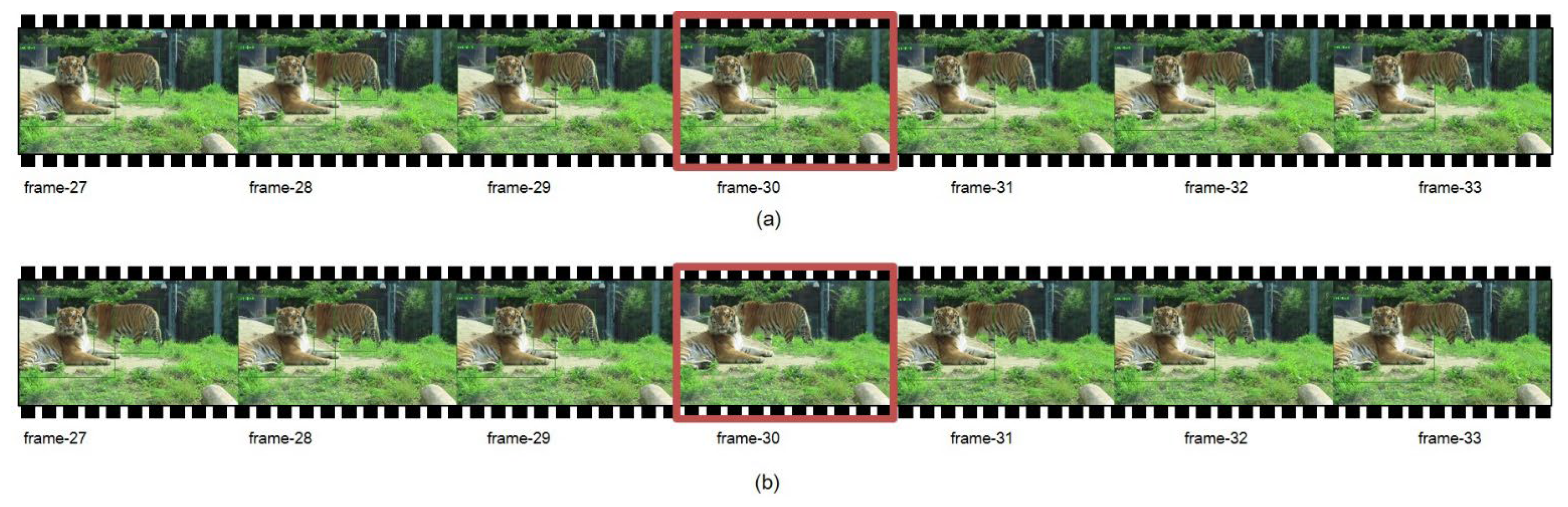 Animals 12 01223 g010 550