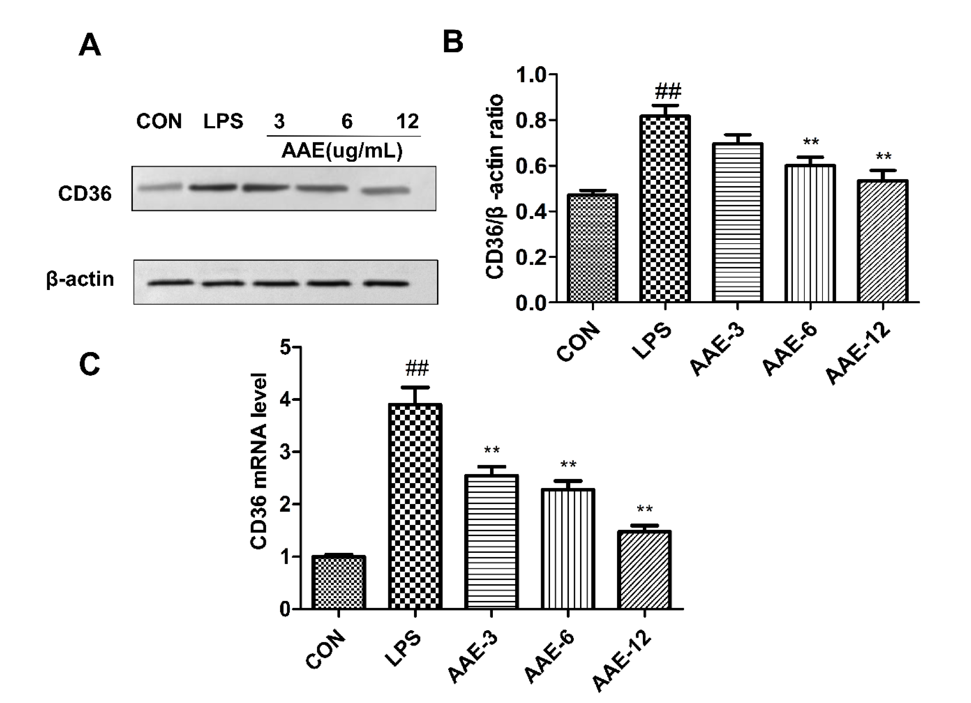 Animals 12 01228 g007 550