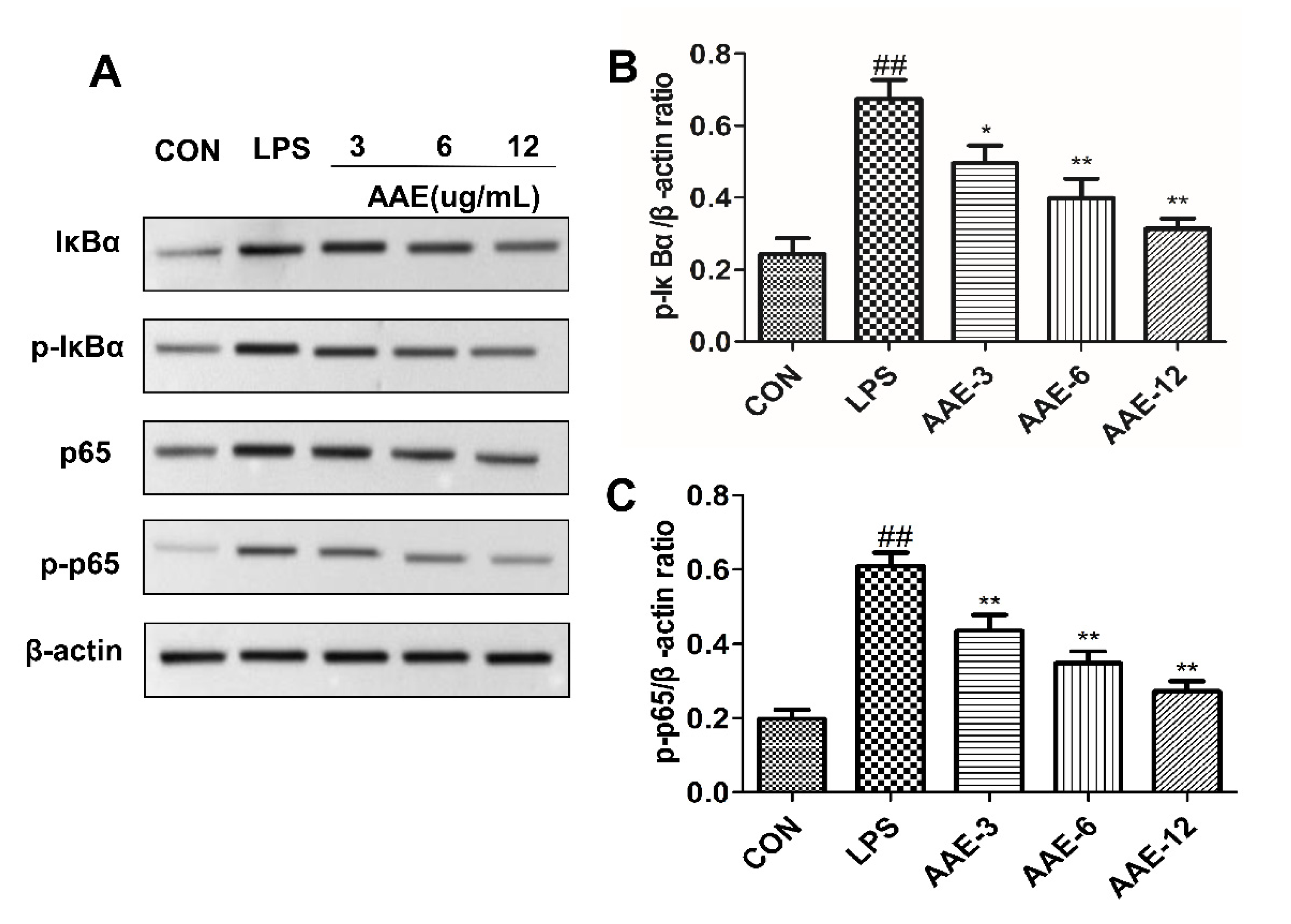 Animals 12 01228 g008 550
