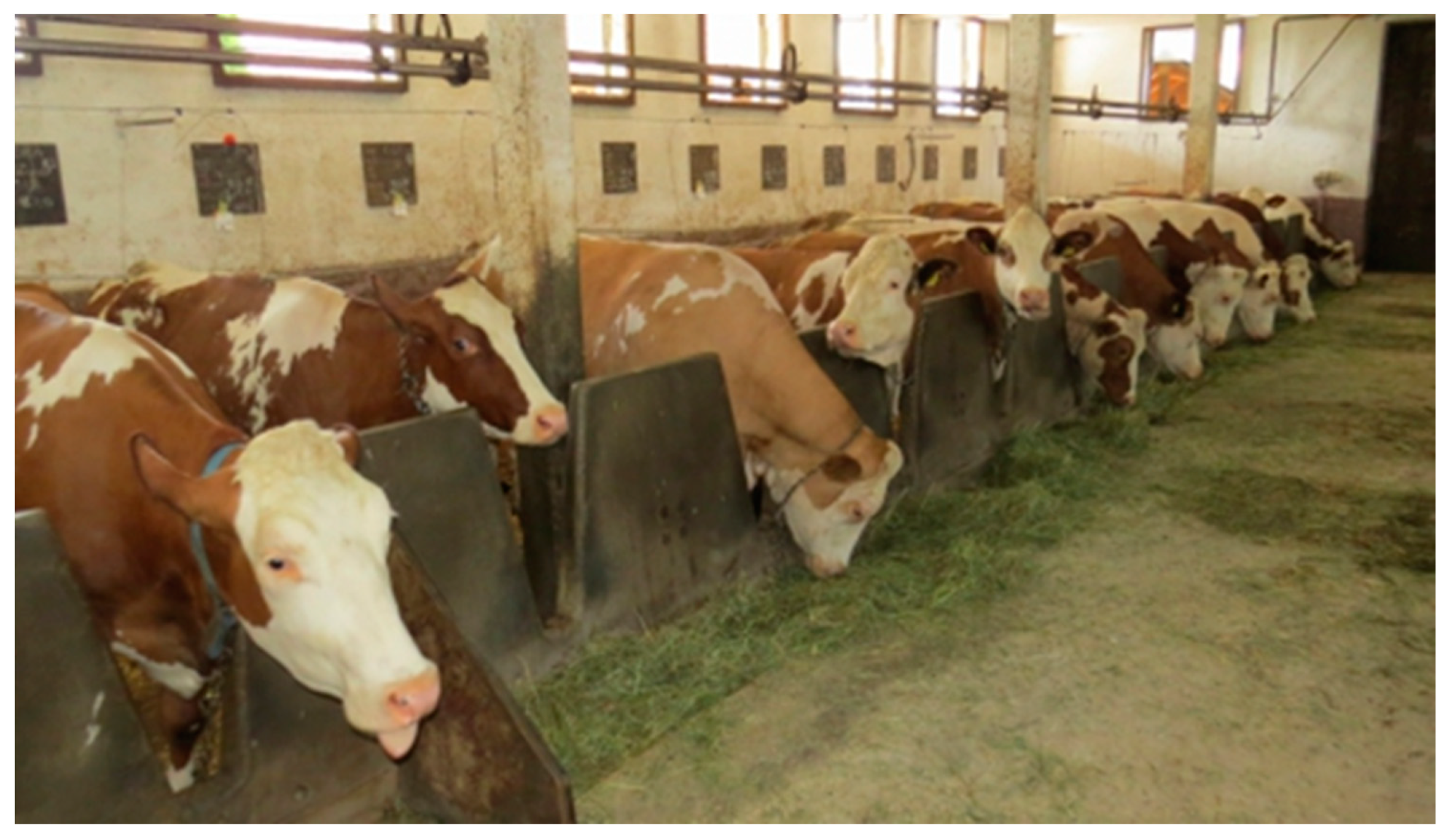 Animals 12 01231 g001 Animals 12 01231 g001