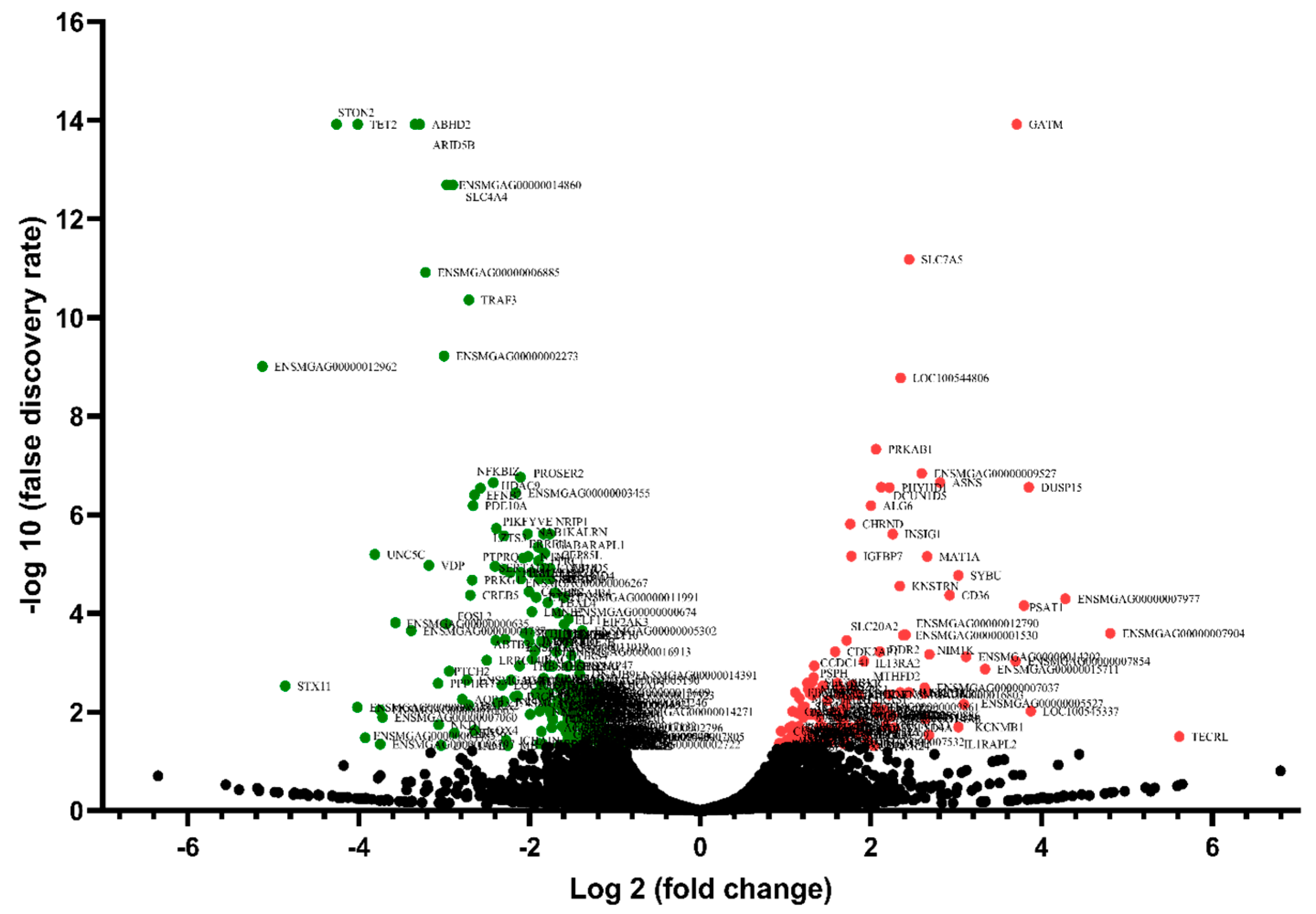Animals 12 01240 g002