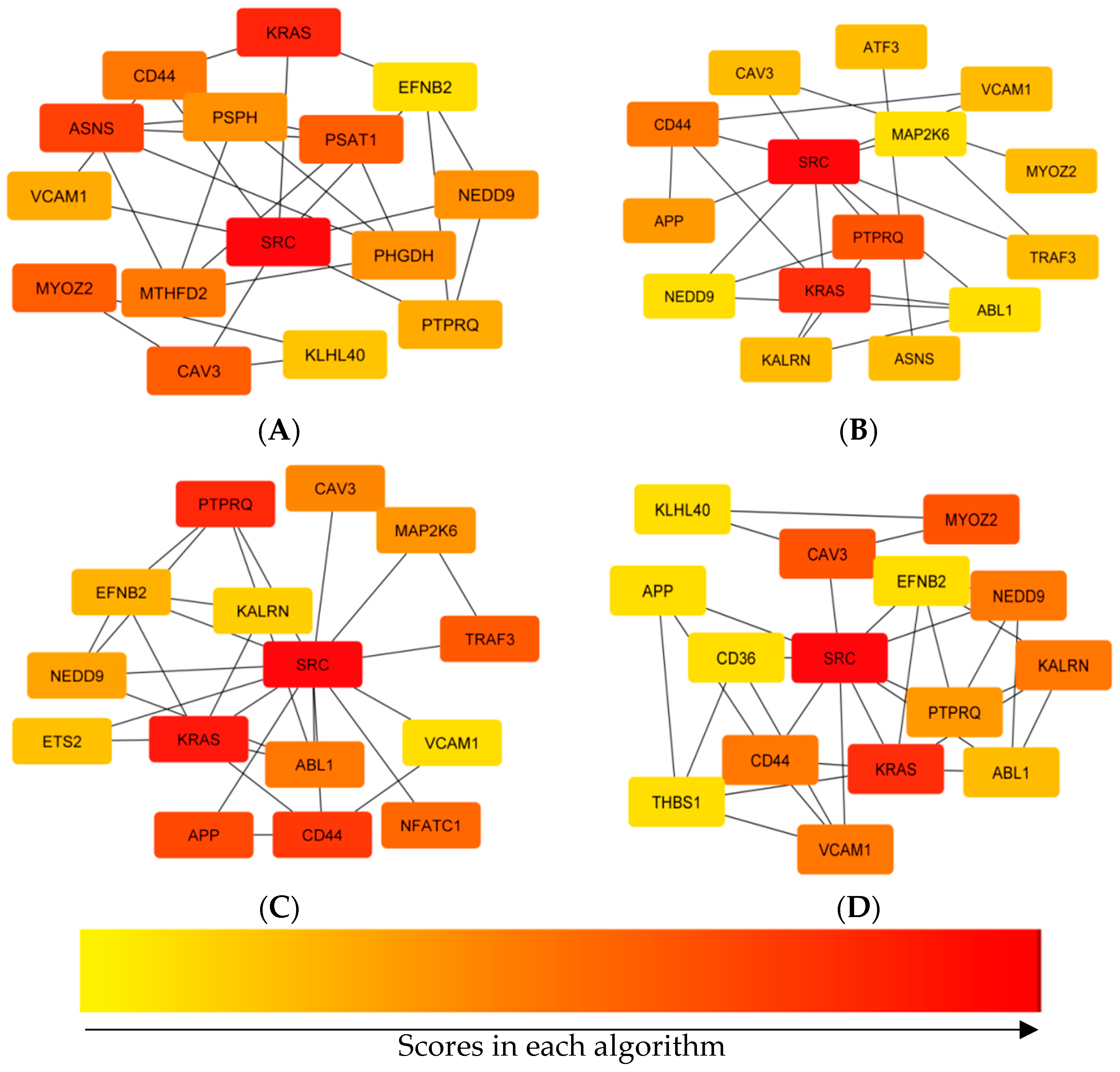 Animals 12 01240 g004