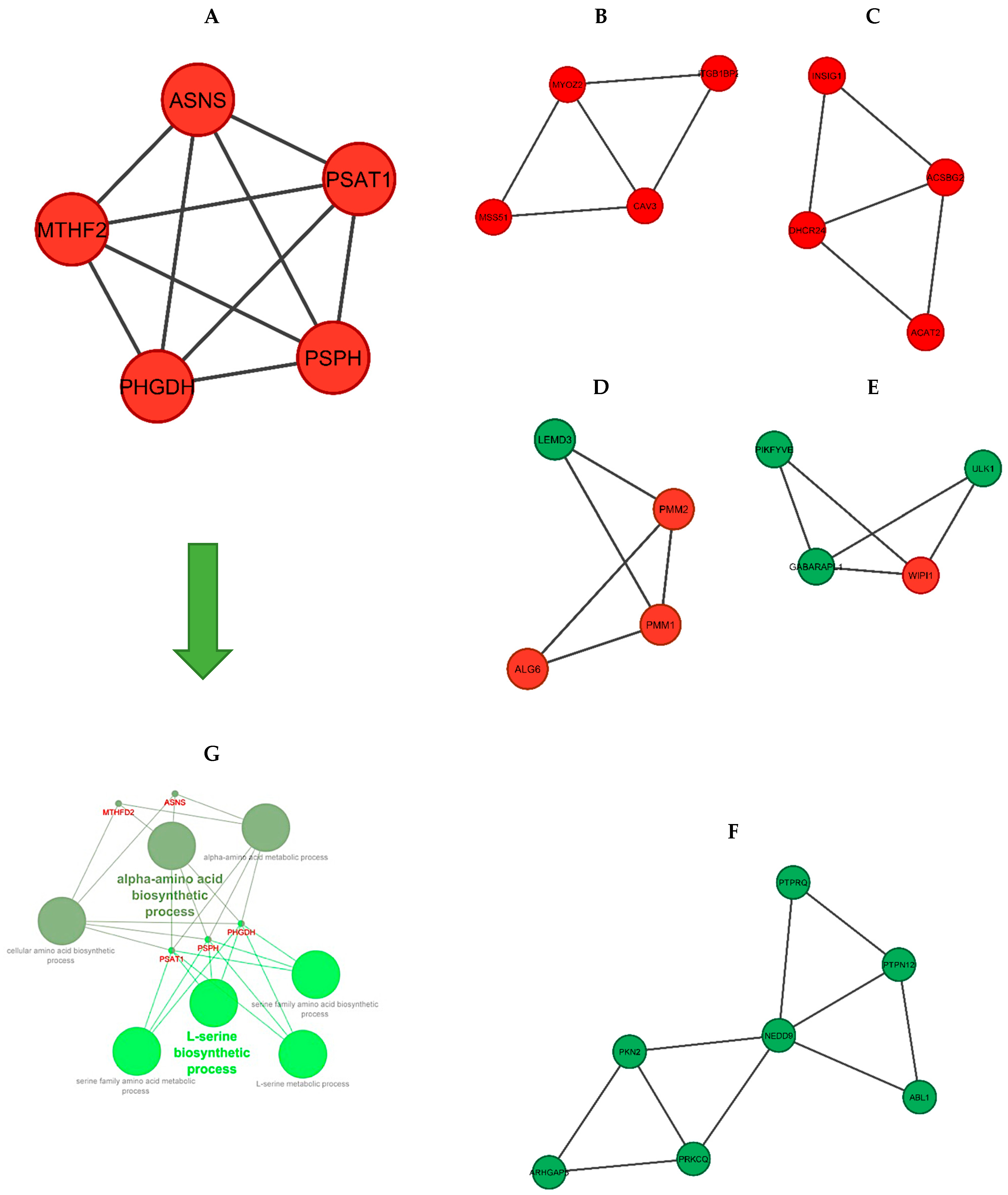 Animals 12 01240 g006