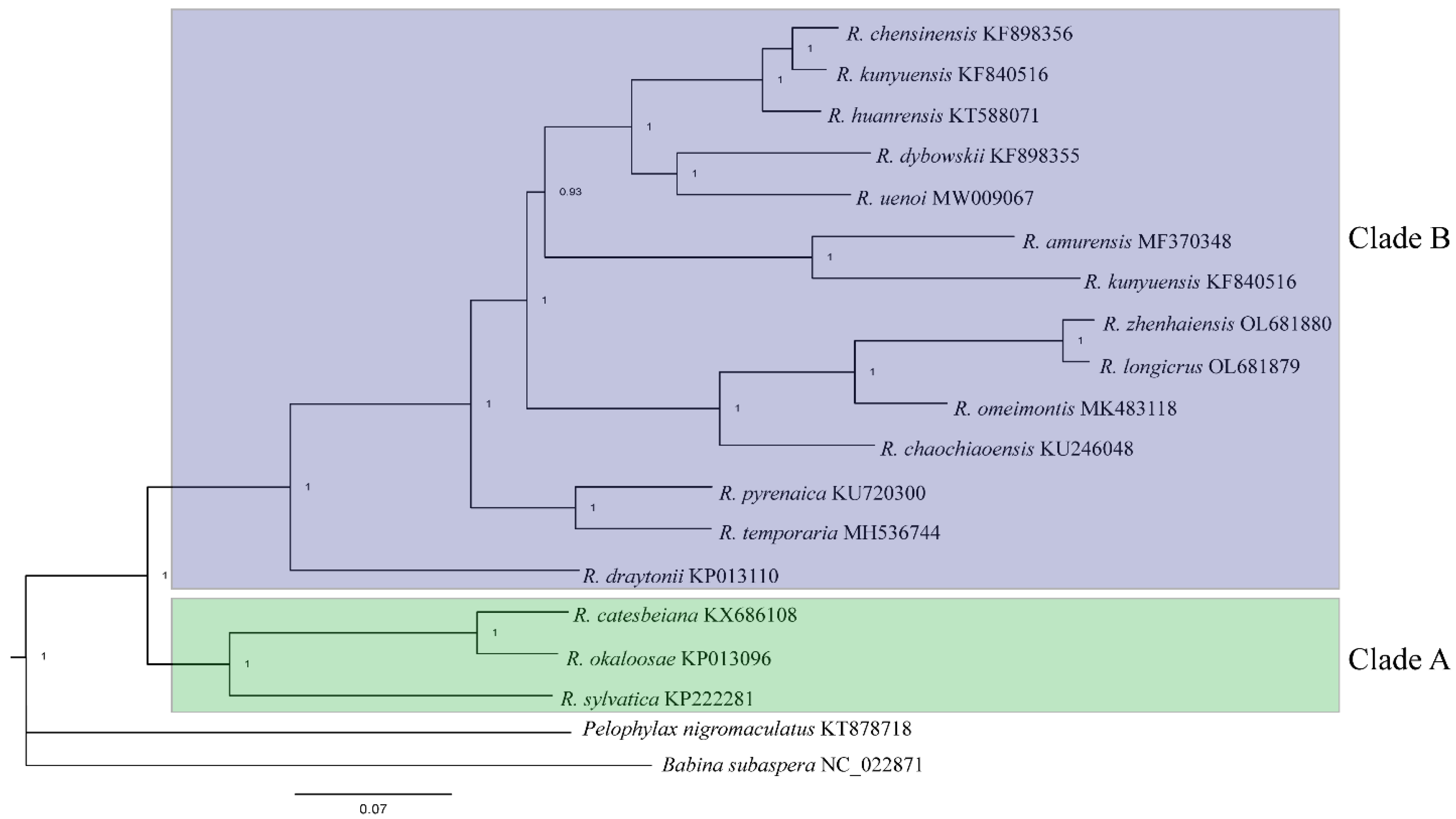 Animals 12 01250 g004 550