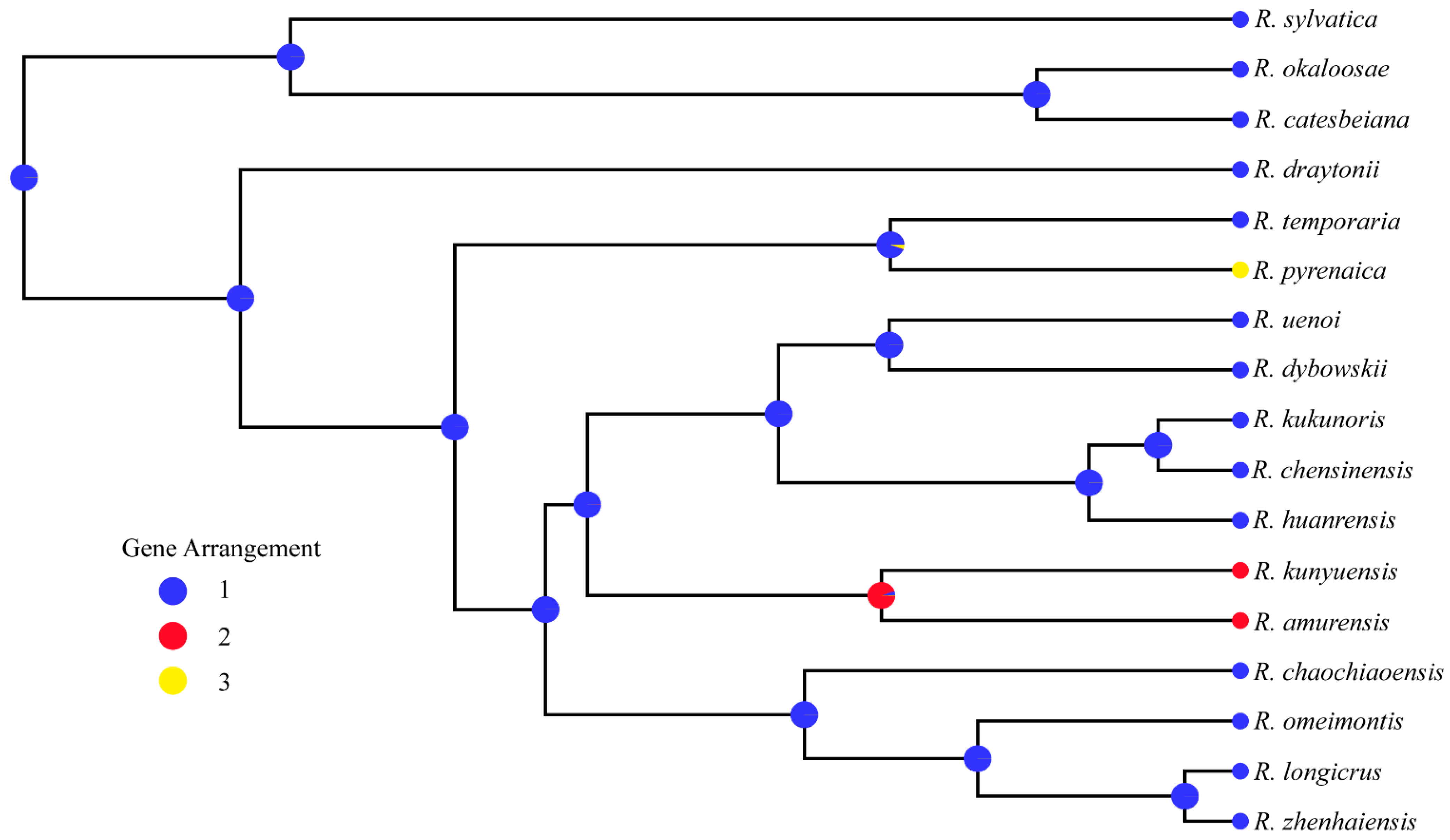 Animals 12 01250 g006 550
