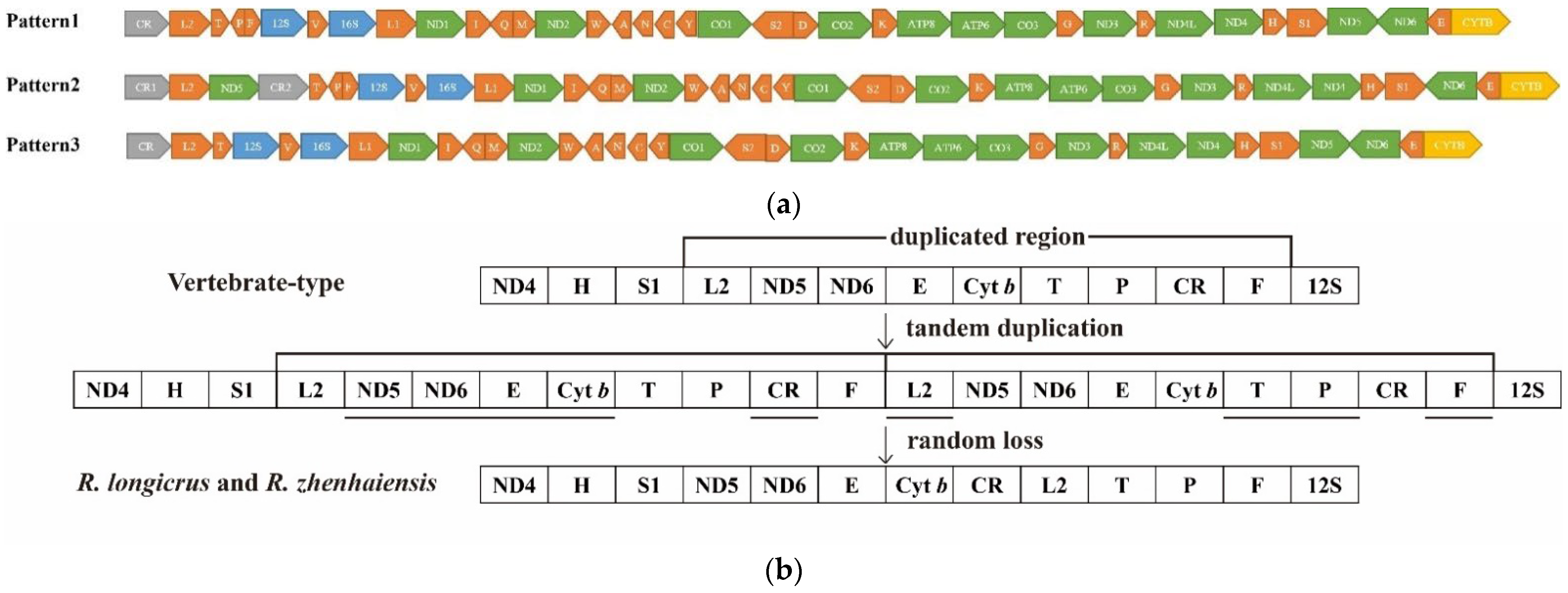 Animals 12 01250 g007 550
