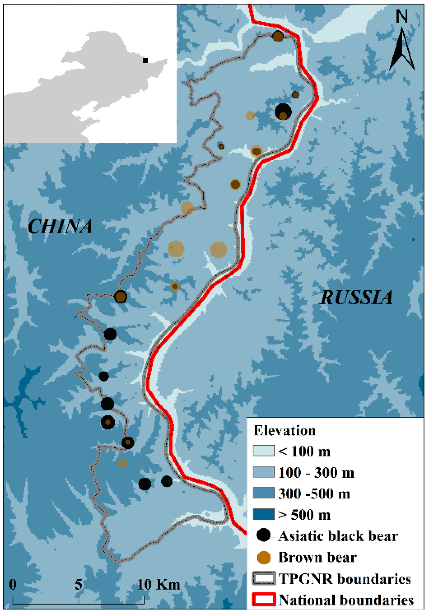 Animals 12 01262 g001 550