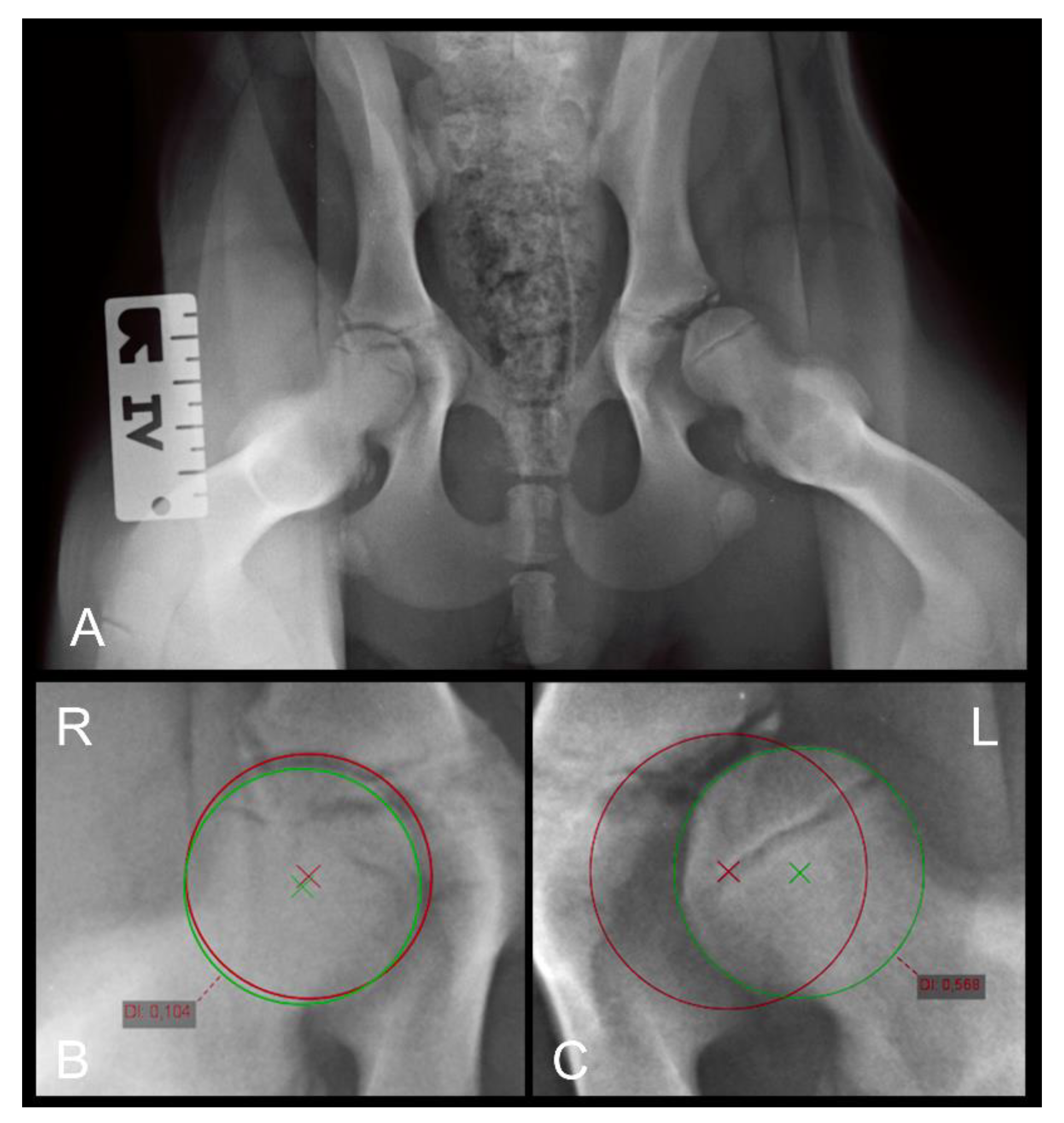 Animals 12 01269 g002 550