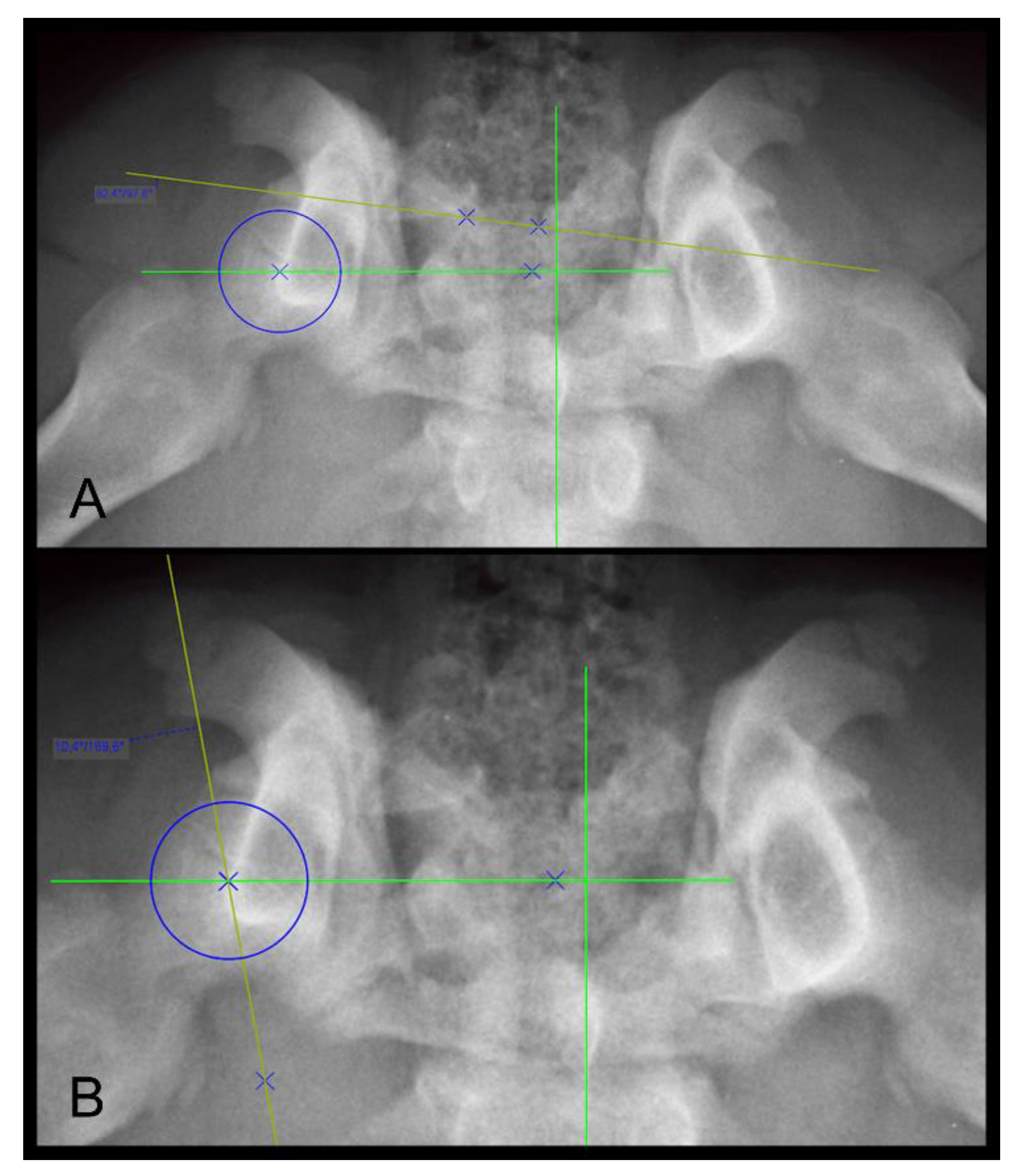 Animals 12 01269 g003 550