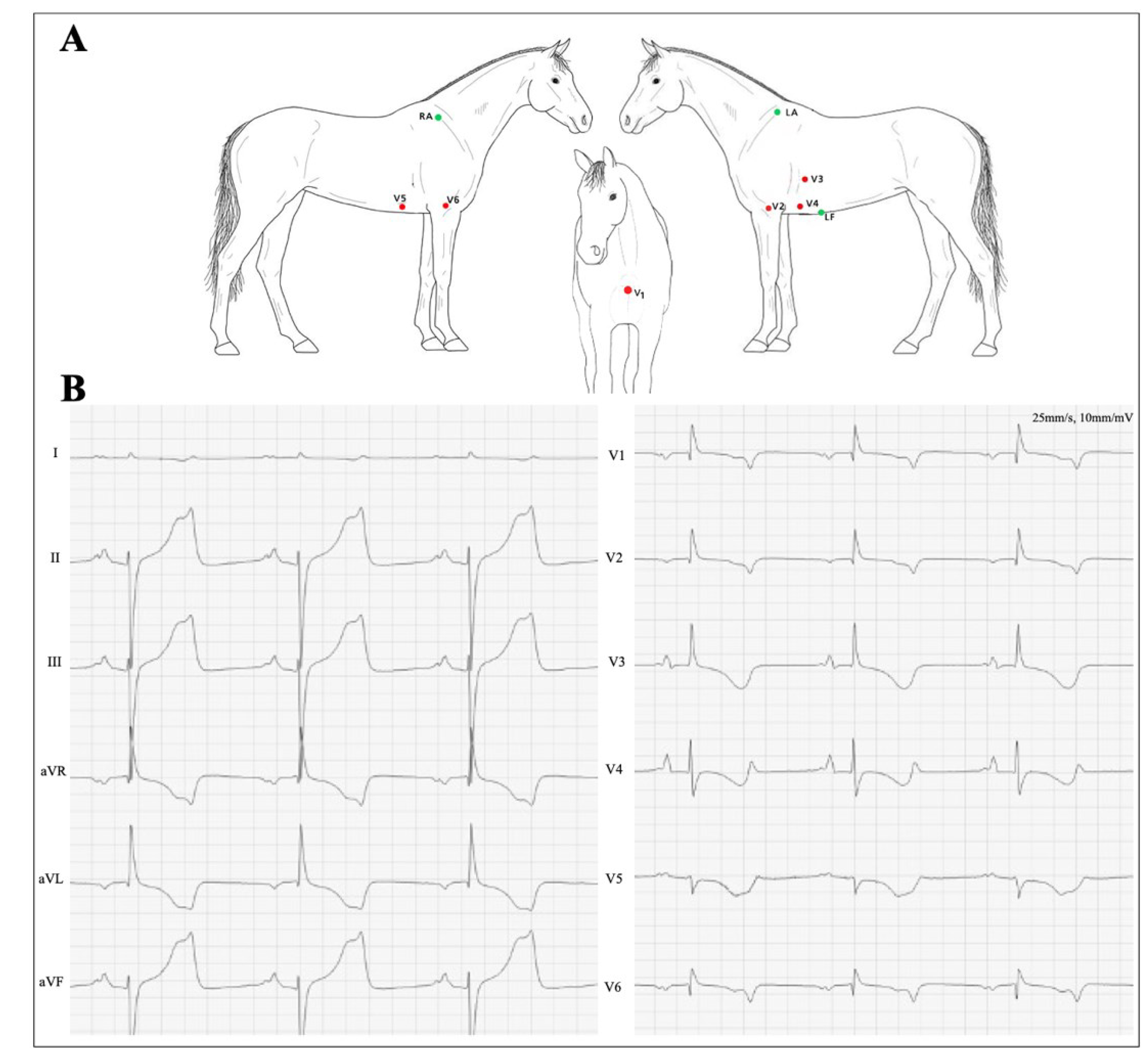 Animals 12 01272 g002